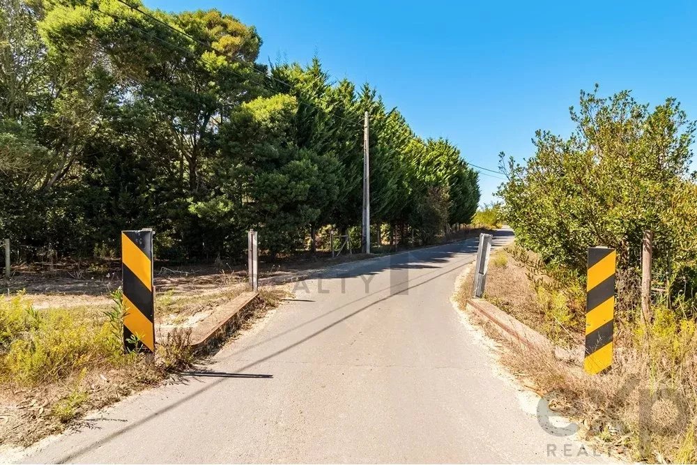 Unmissable Investment in Odemira 85507464 image 11