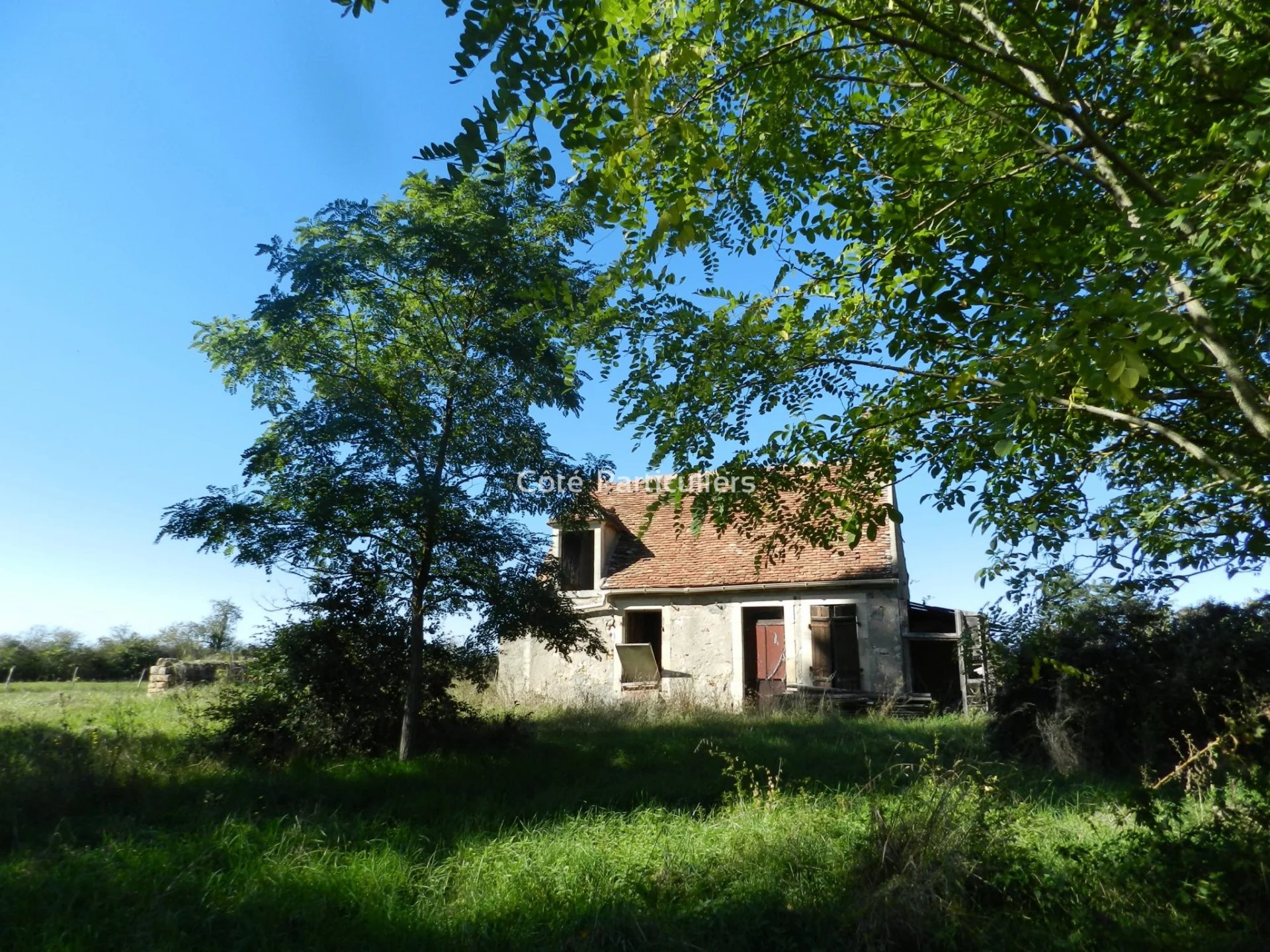 Vente Maison Uzay-le-Venon