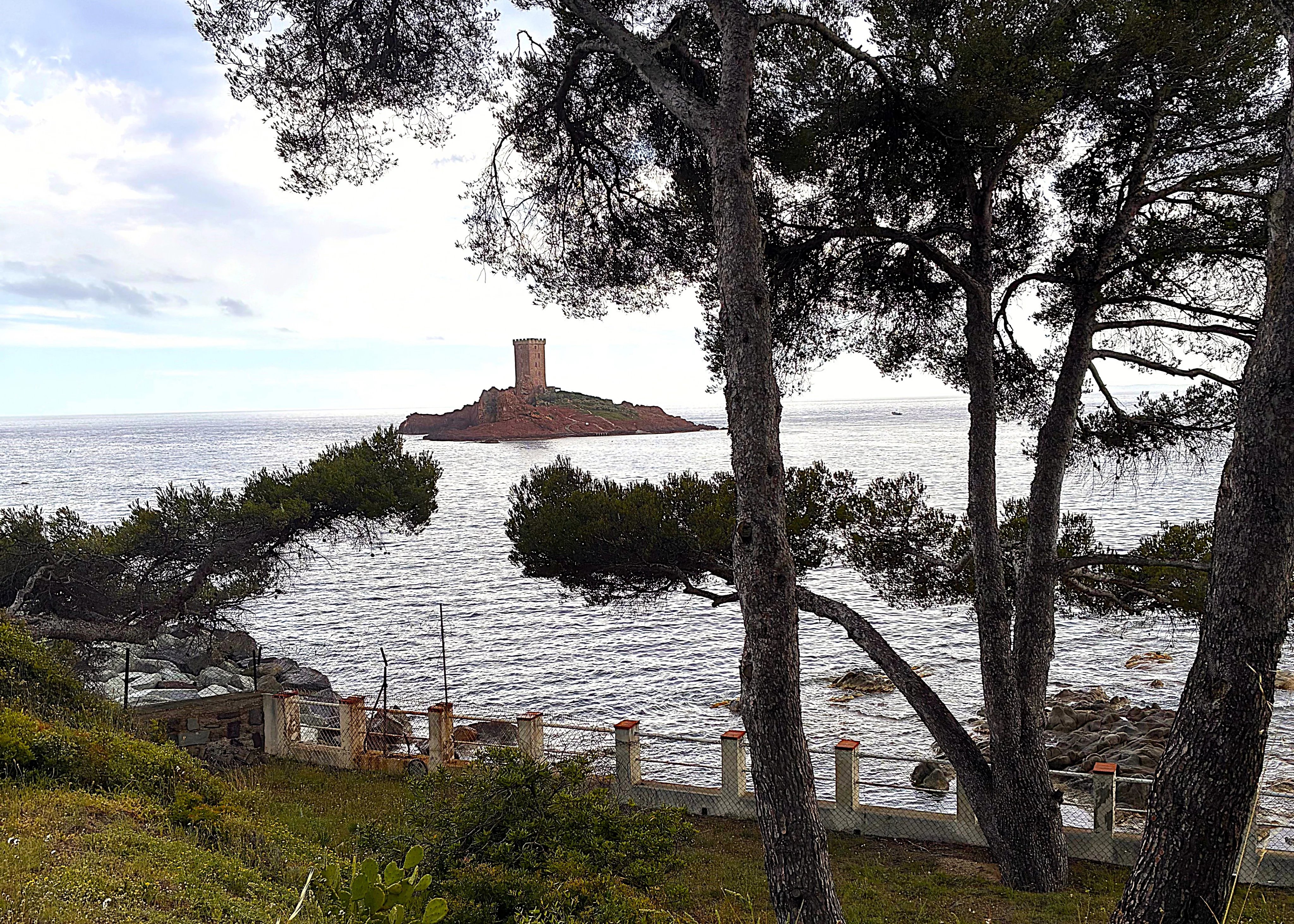 Exceptional land 1 Hectare Sea View