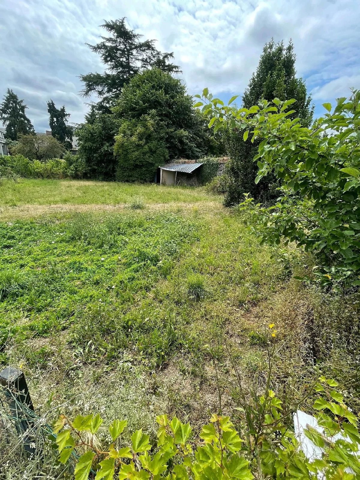 Vente Terrain Chazé-sur-Argos