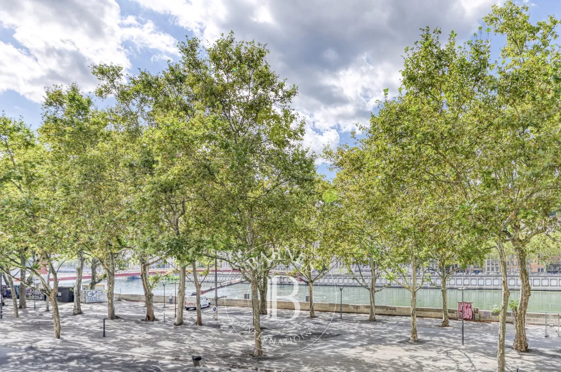 Daire Lyon 2ème - picture 11