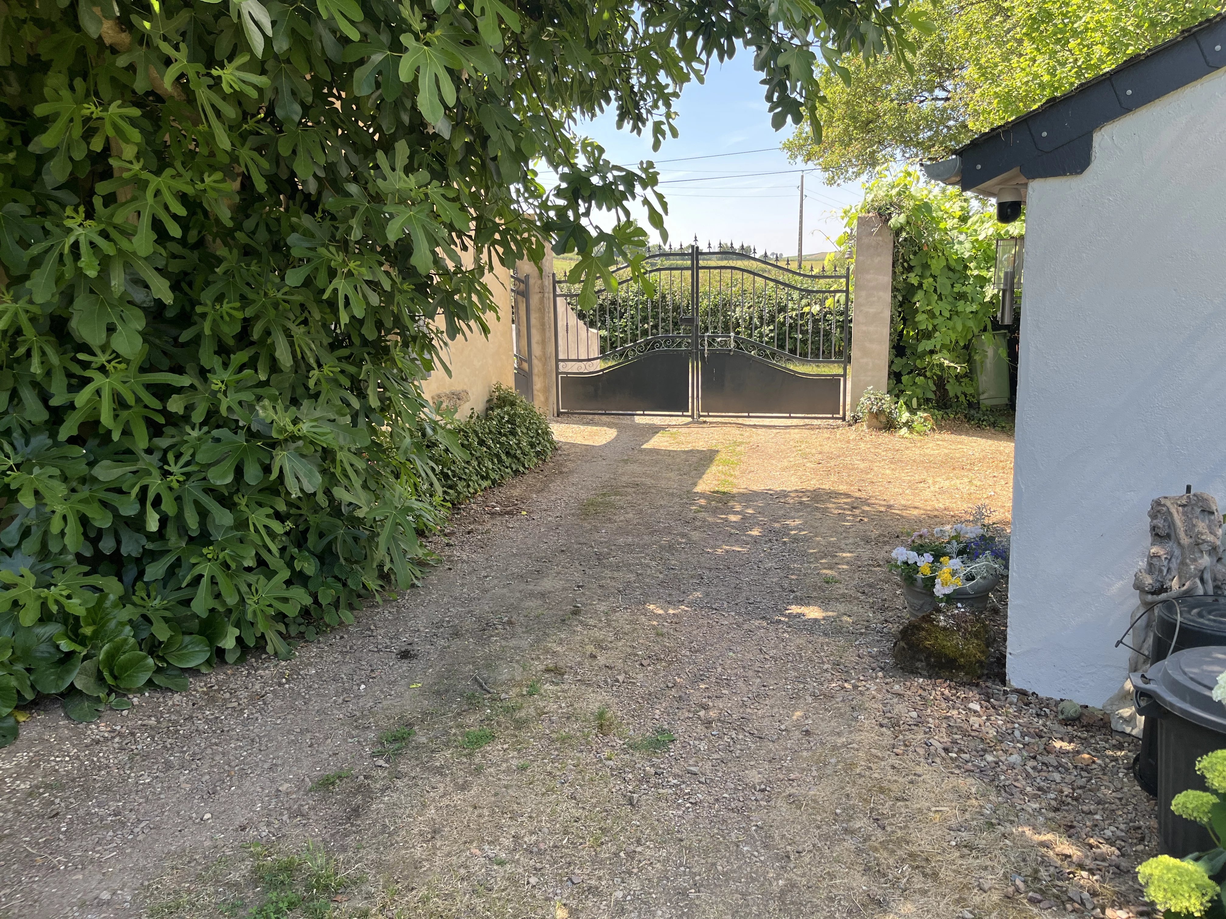 Ensemble immobilier avec gîte indépendant. piscine et vue dégagée – Morvan — photo 15