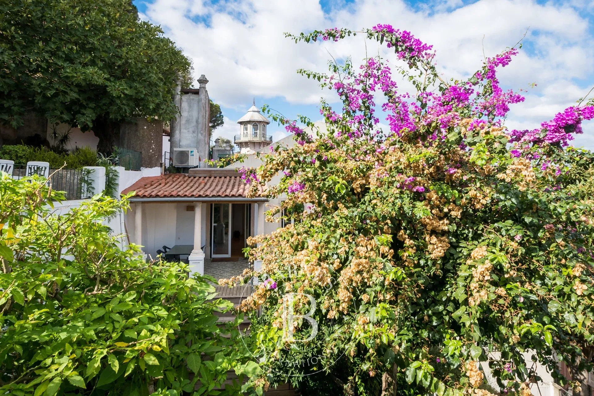 Jardin et charme