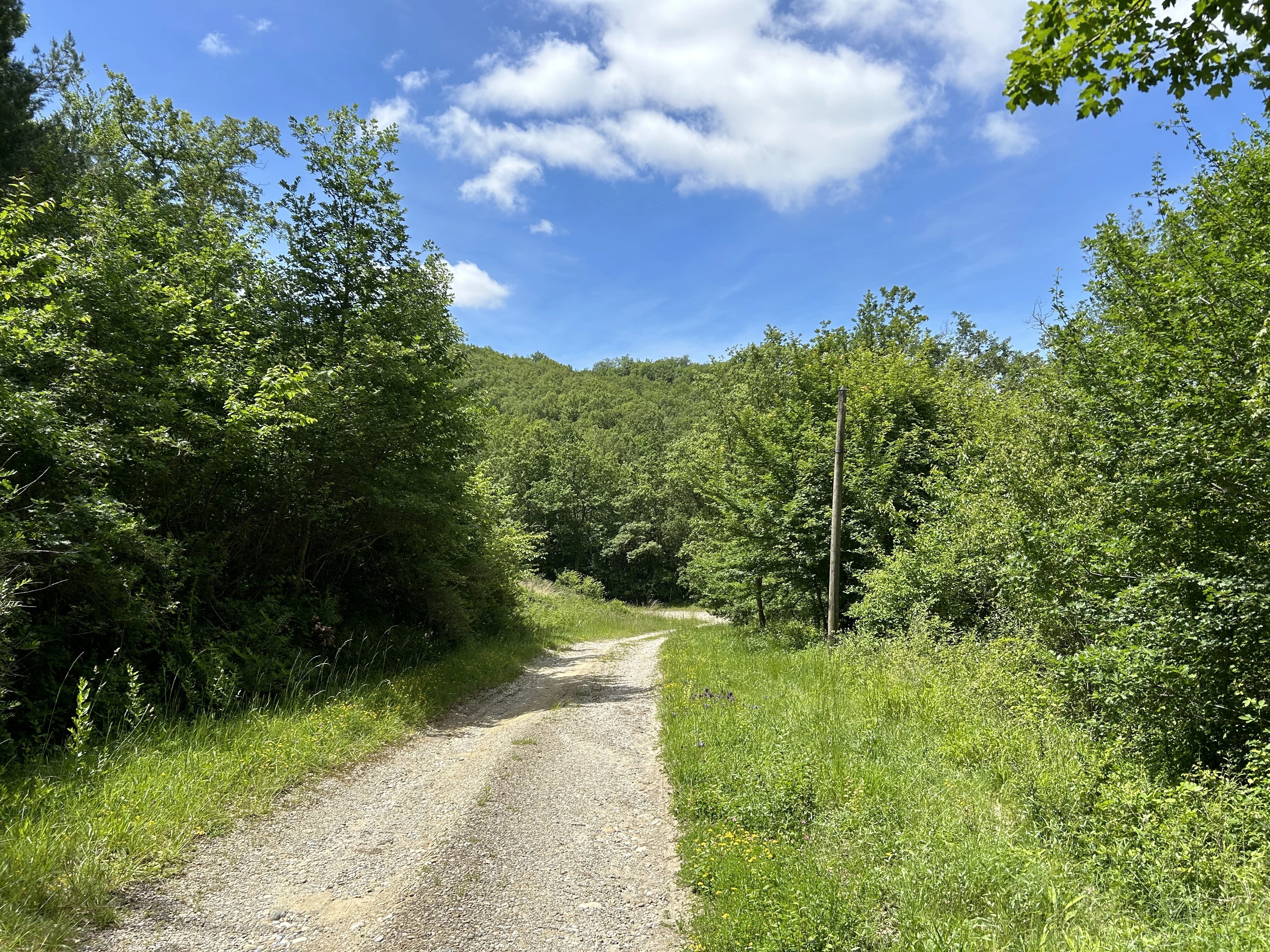 Maison à vendre Belvèze-du-Razès, Aude
