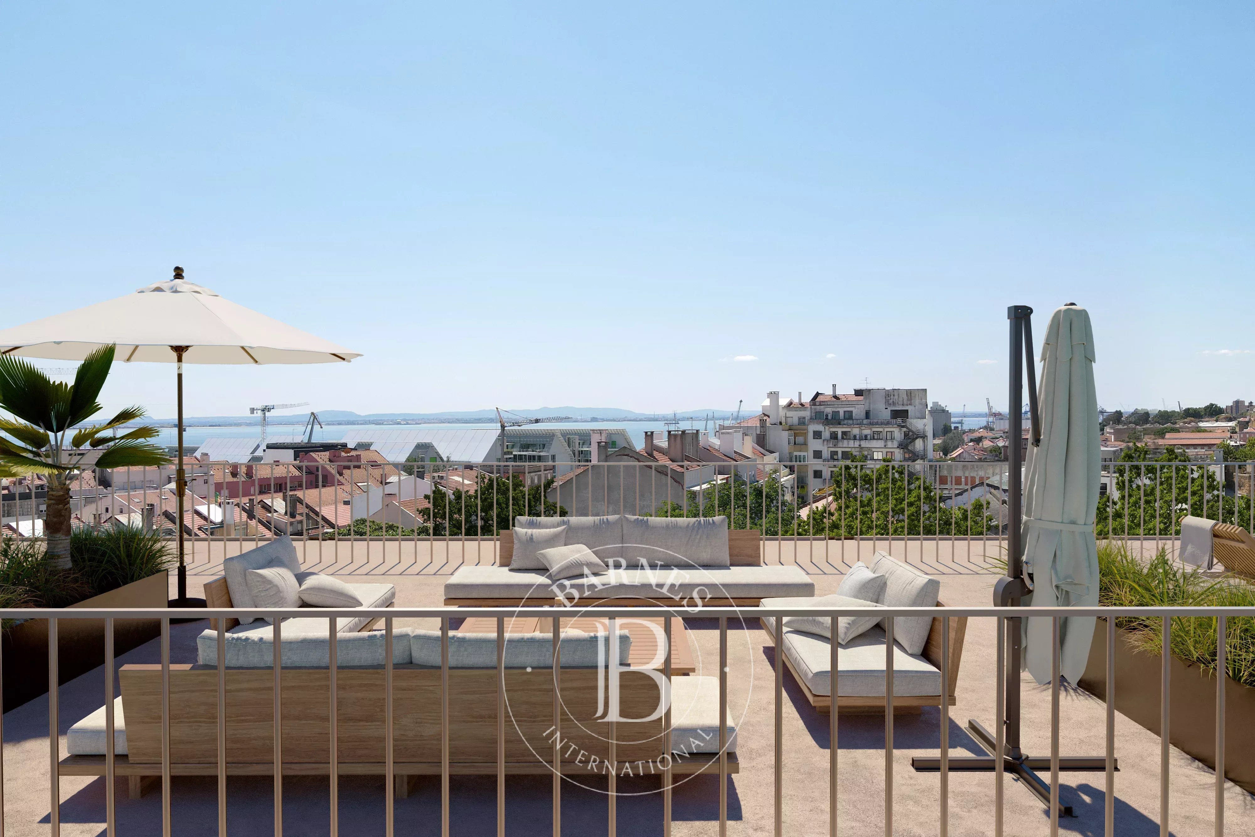 Living in a dynamic neighborhood near the Tagus River