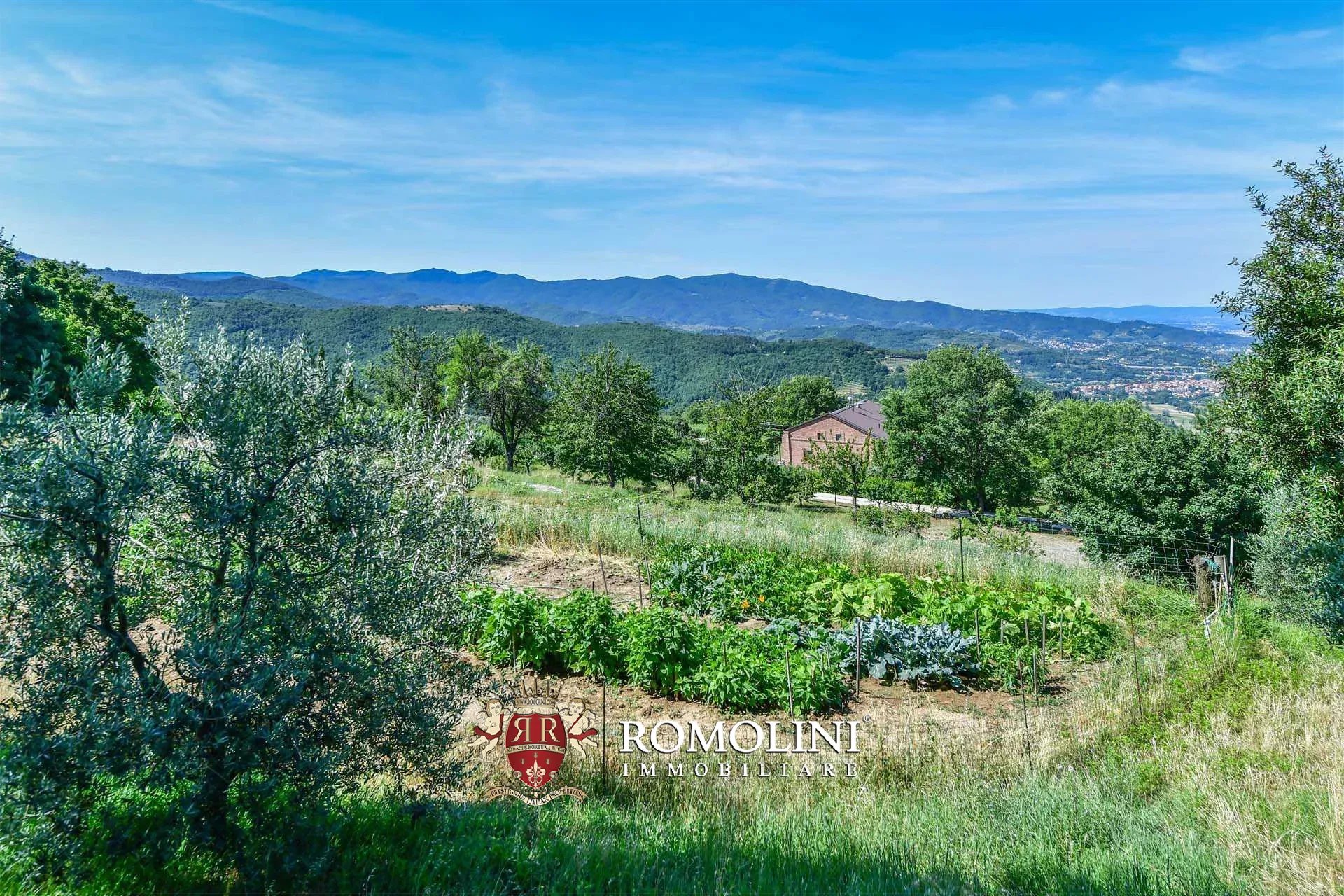 16 Bedroom Vineyard's Image 42