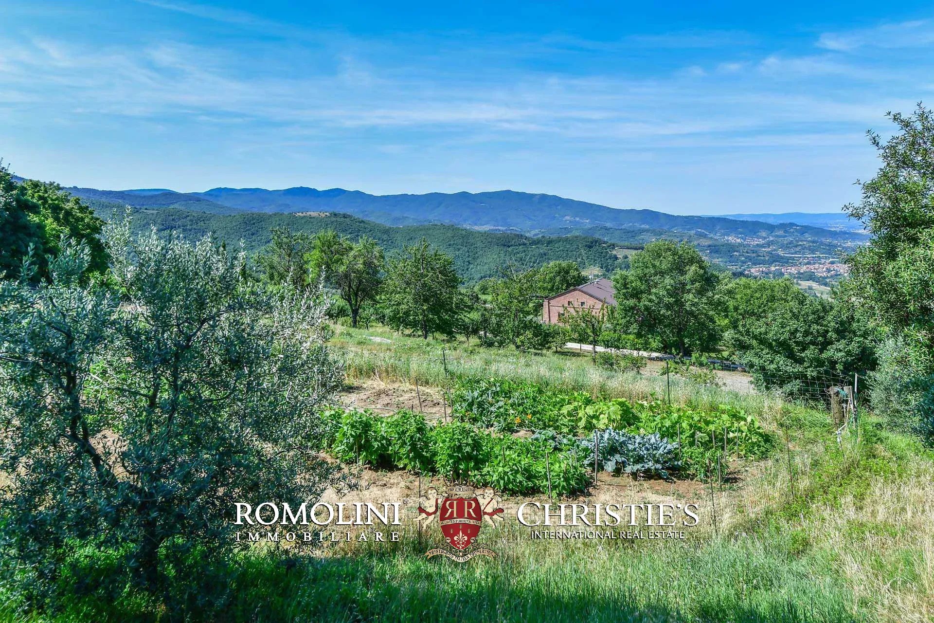 TENUTA VINICOLA BIOLOGICA IN VENDITA, CANTINA BIO TOSCANA