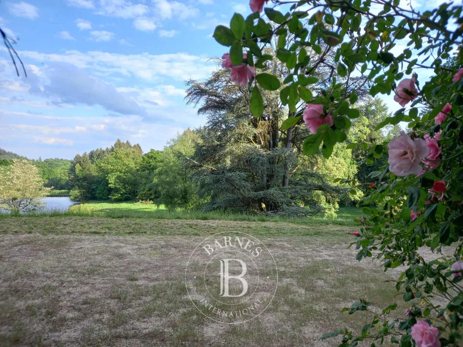 Château Limoges  -  ref 86969009 (picture 3)