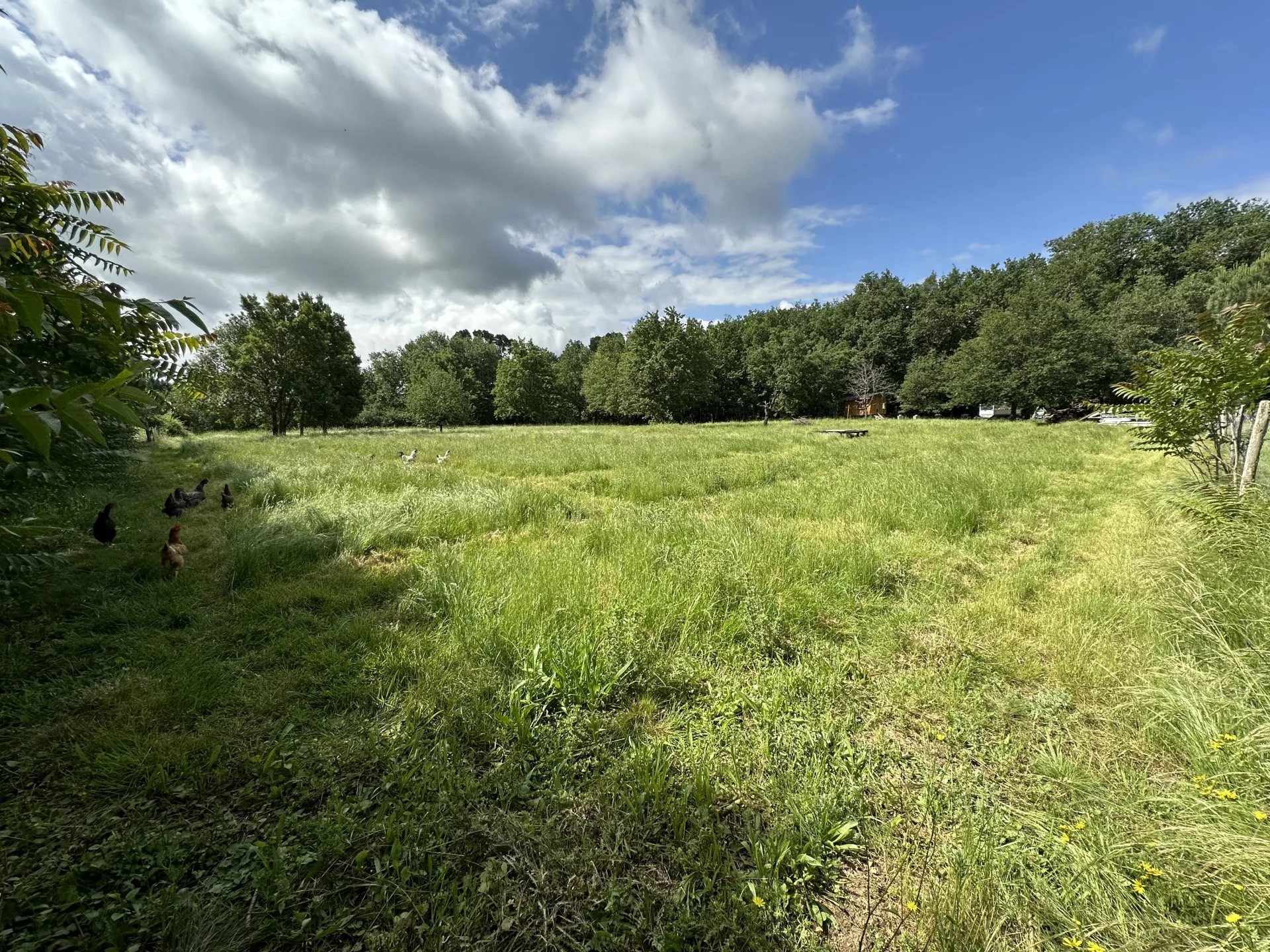 Vente Terrain constructible Saïx