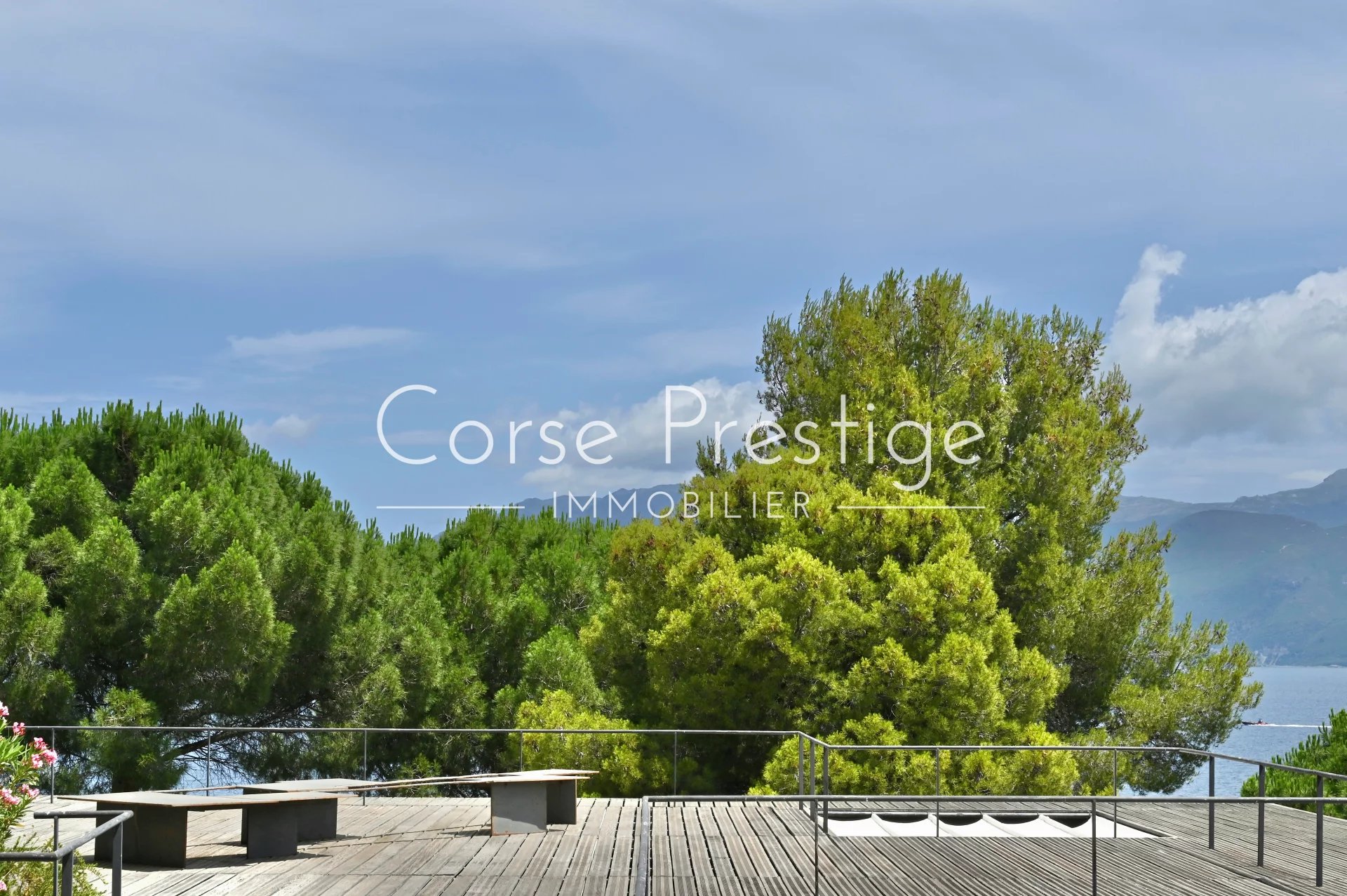 propriete exceptionnelle - pieds dans l-eau - saint florent - haute corse image3