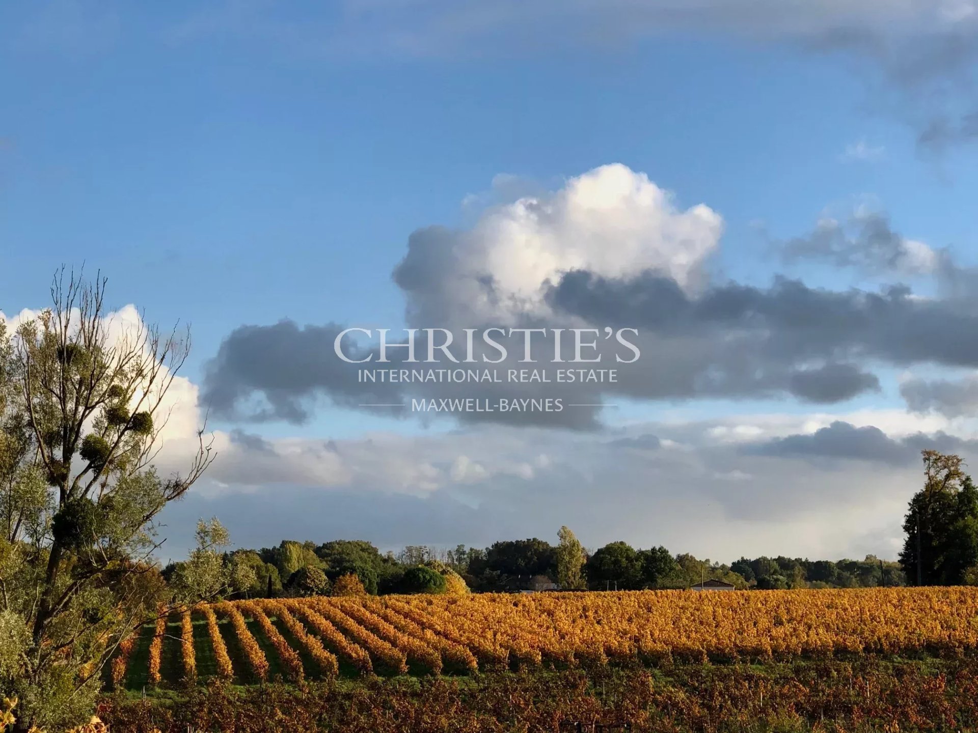 7 Bedroom Vineyard's Image 11