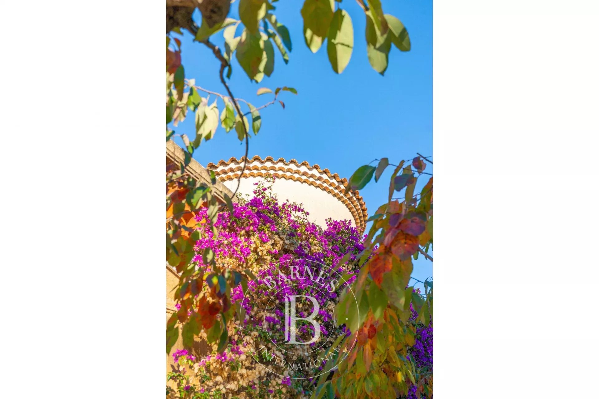 Ev Marseille 7ème - picture 4