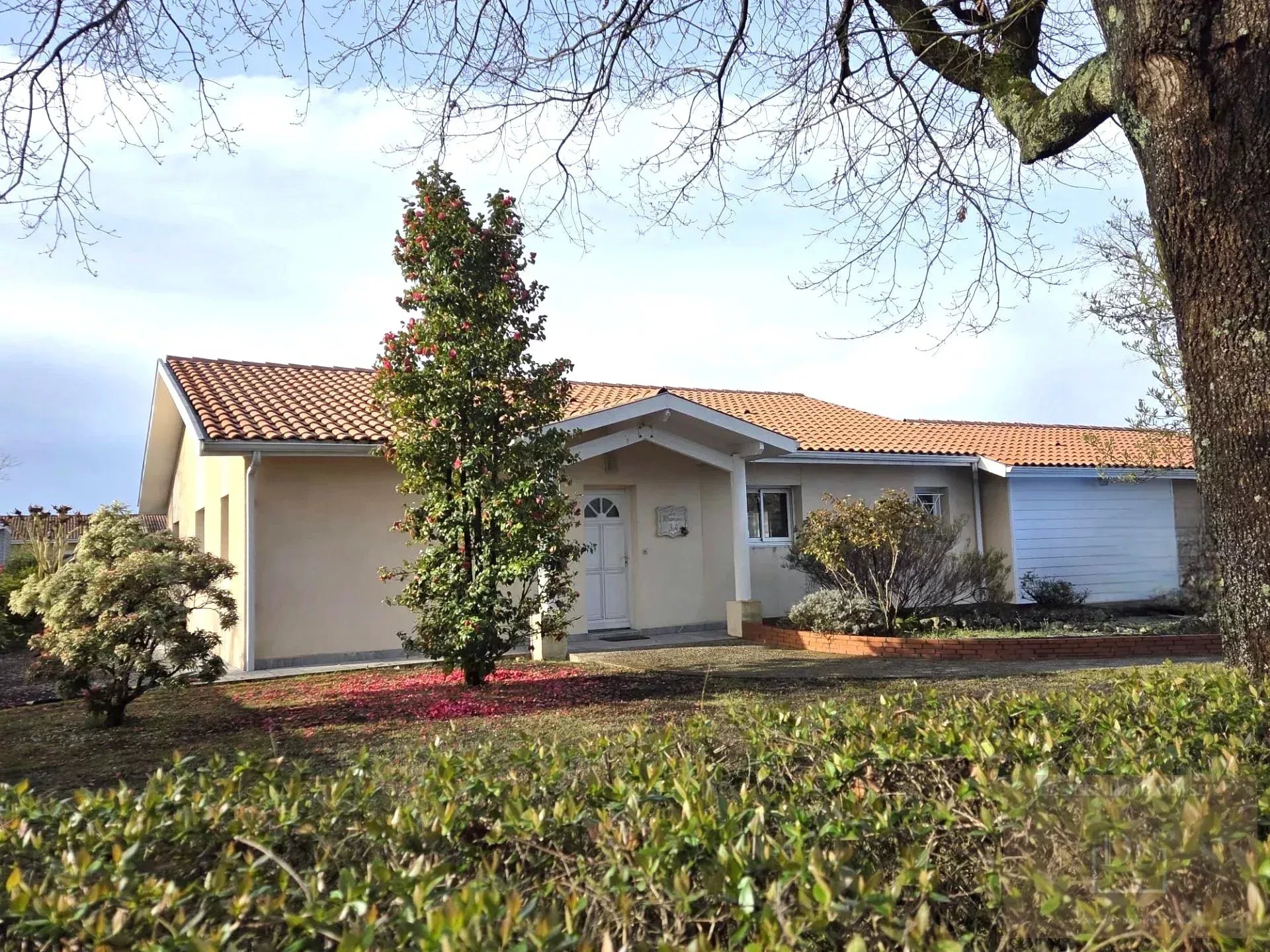 Agence immobilière de Deligey Immo Conseil