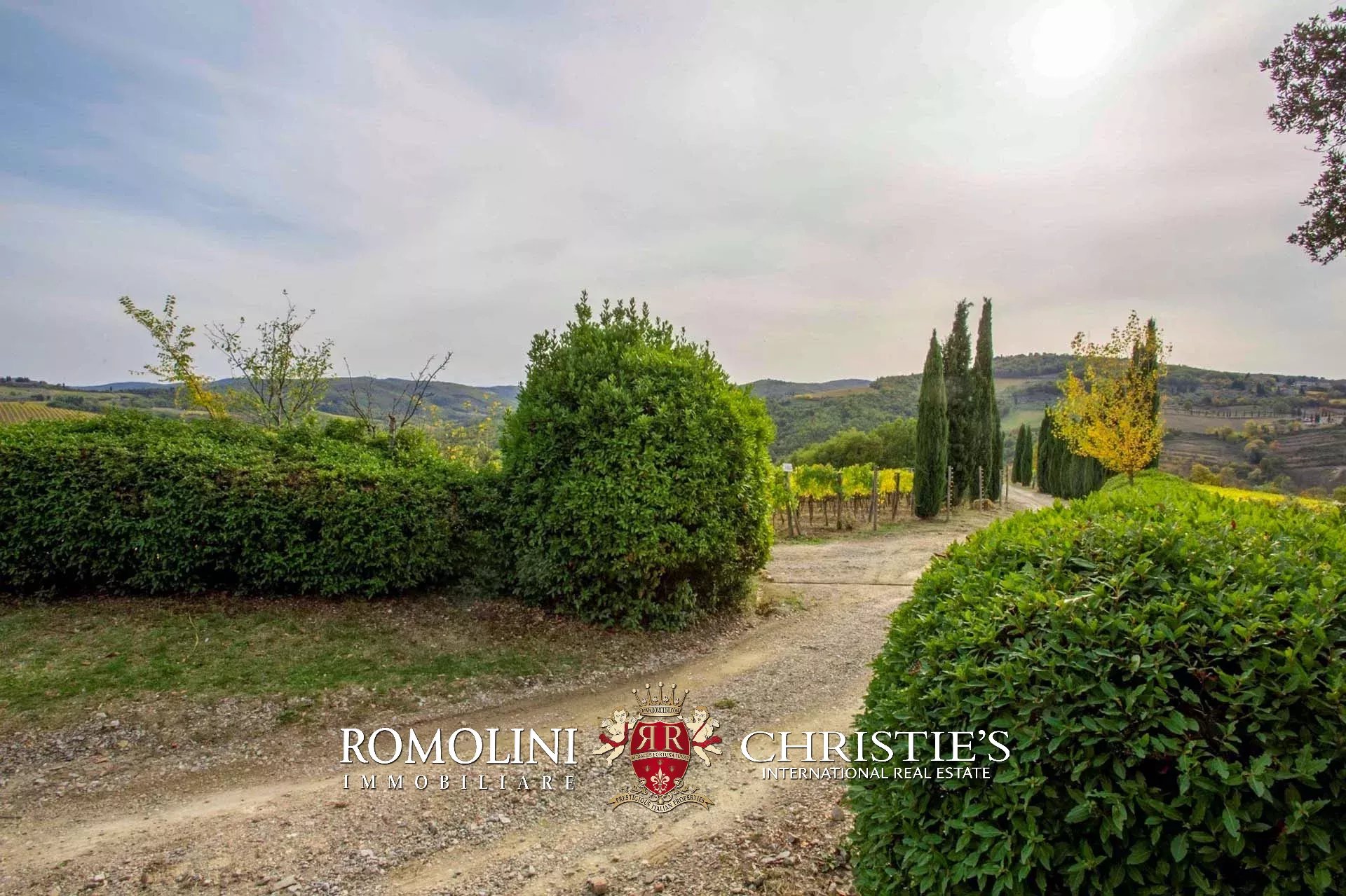 9 Bedroom Vineyard's Image 17