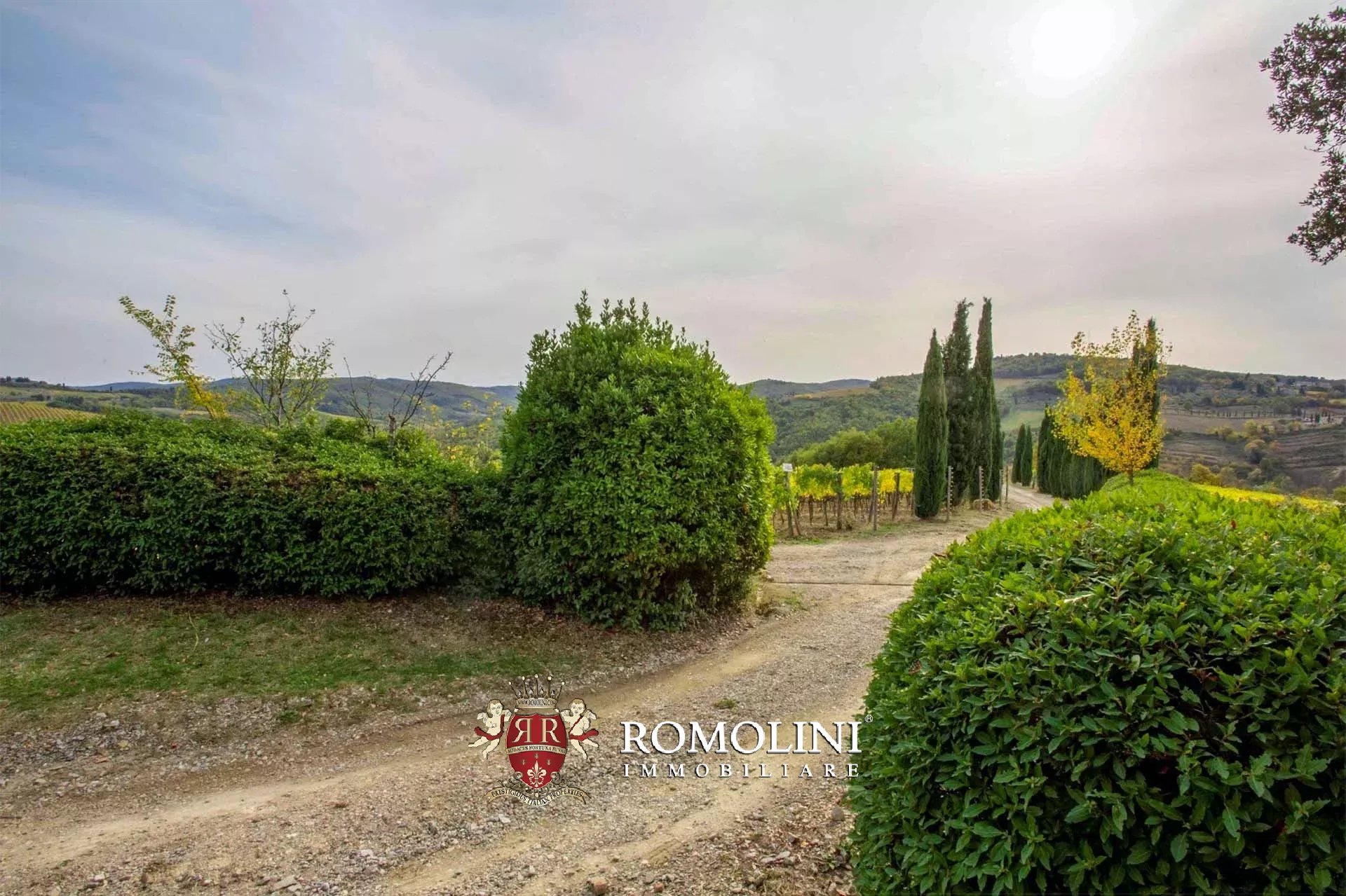9 Bedroom Vineyard's Image 17