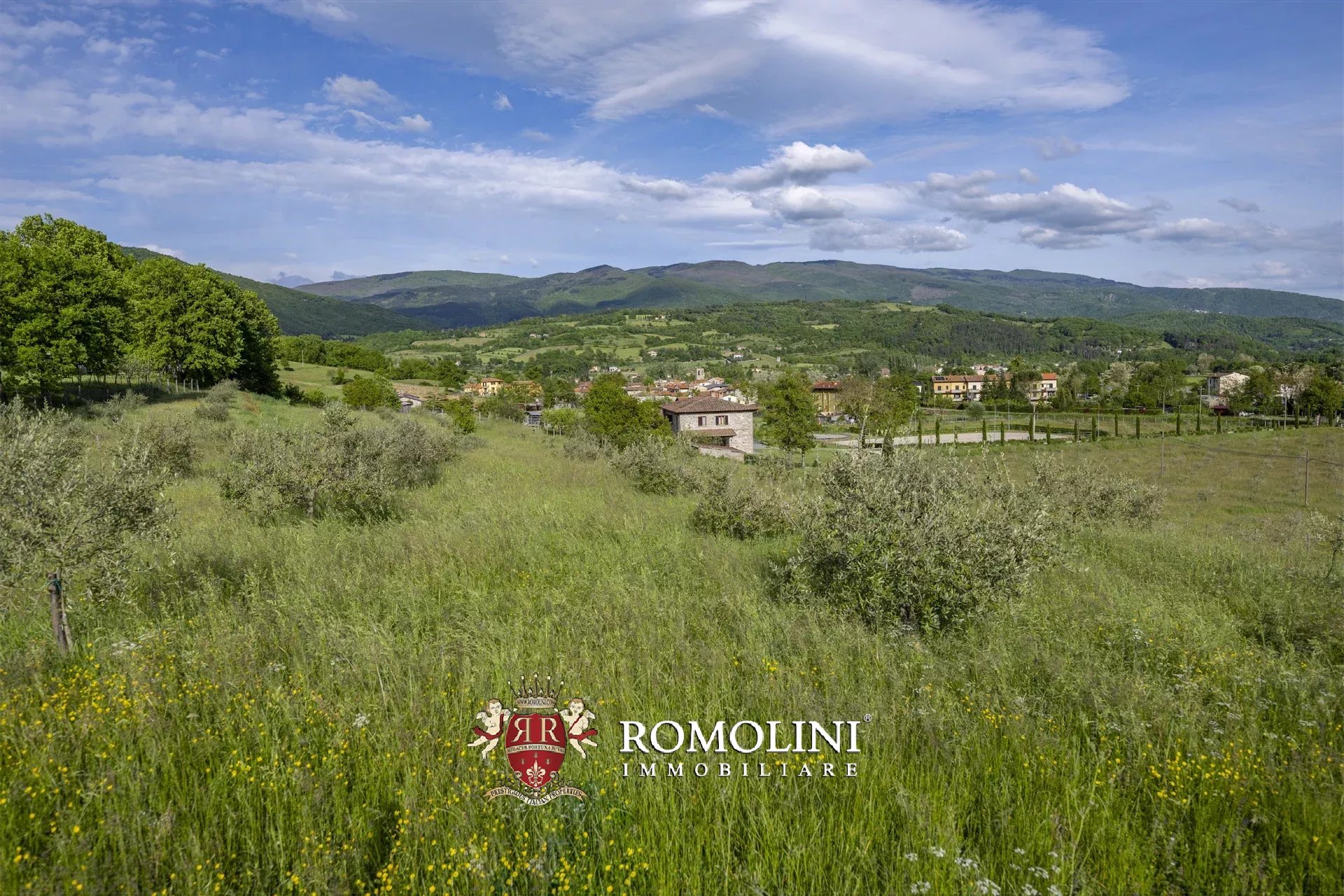 Property Slider Image