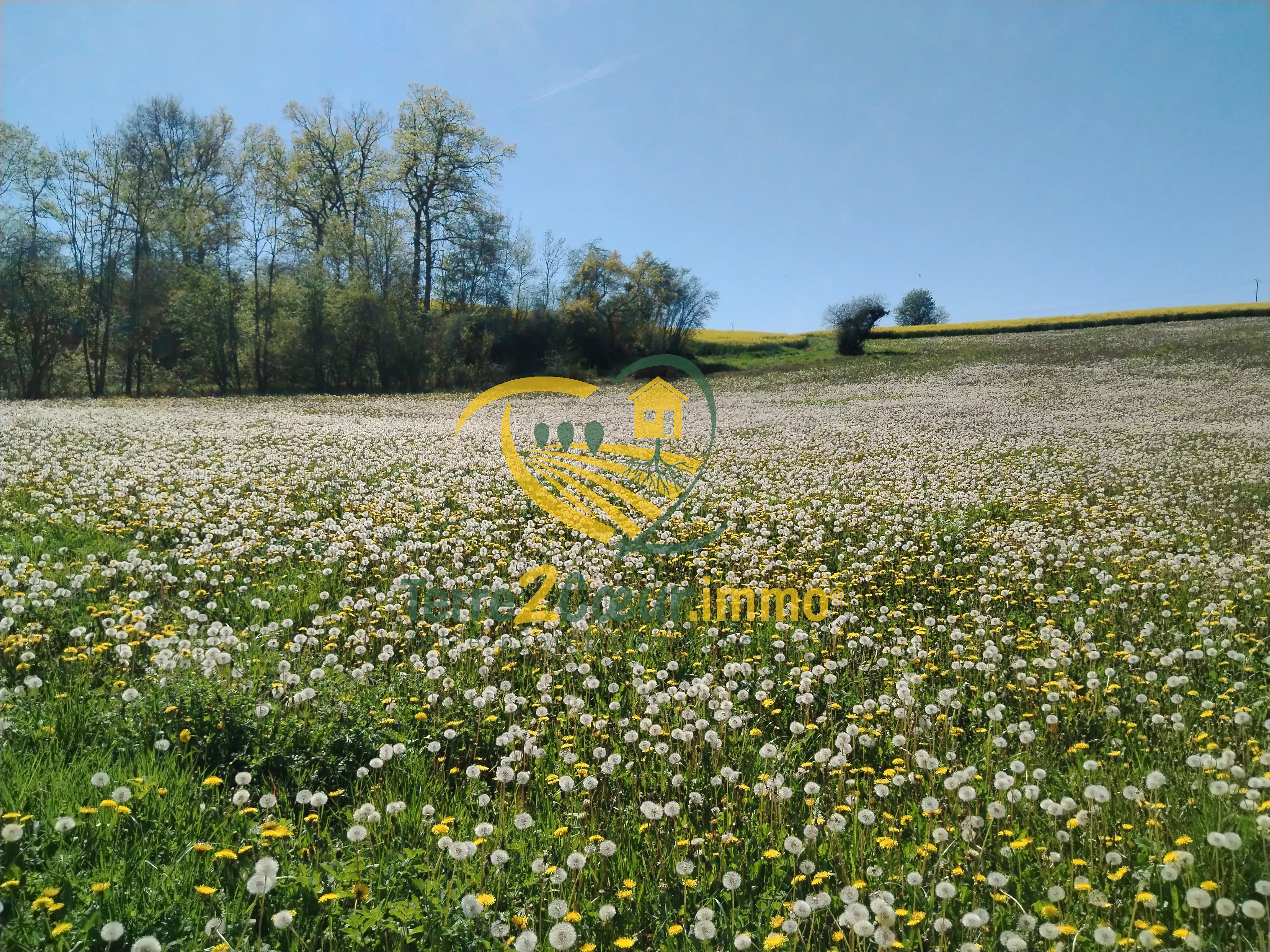 Agence immobilière de Monsieur Jérémy Garcia