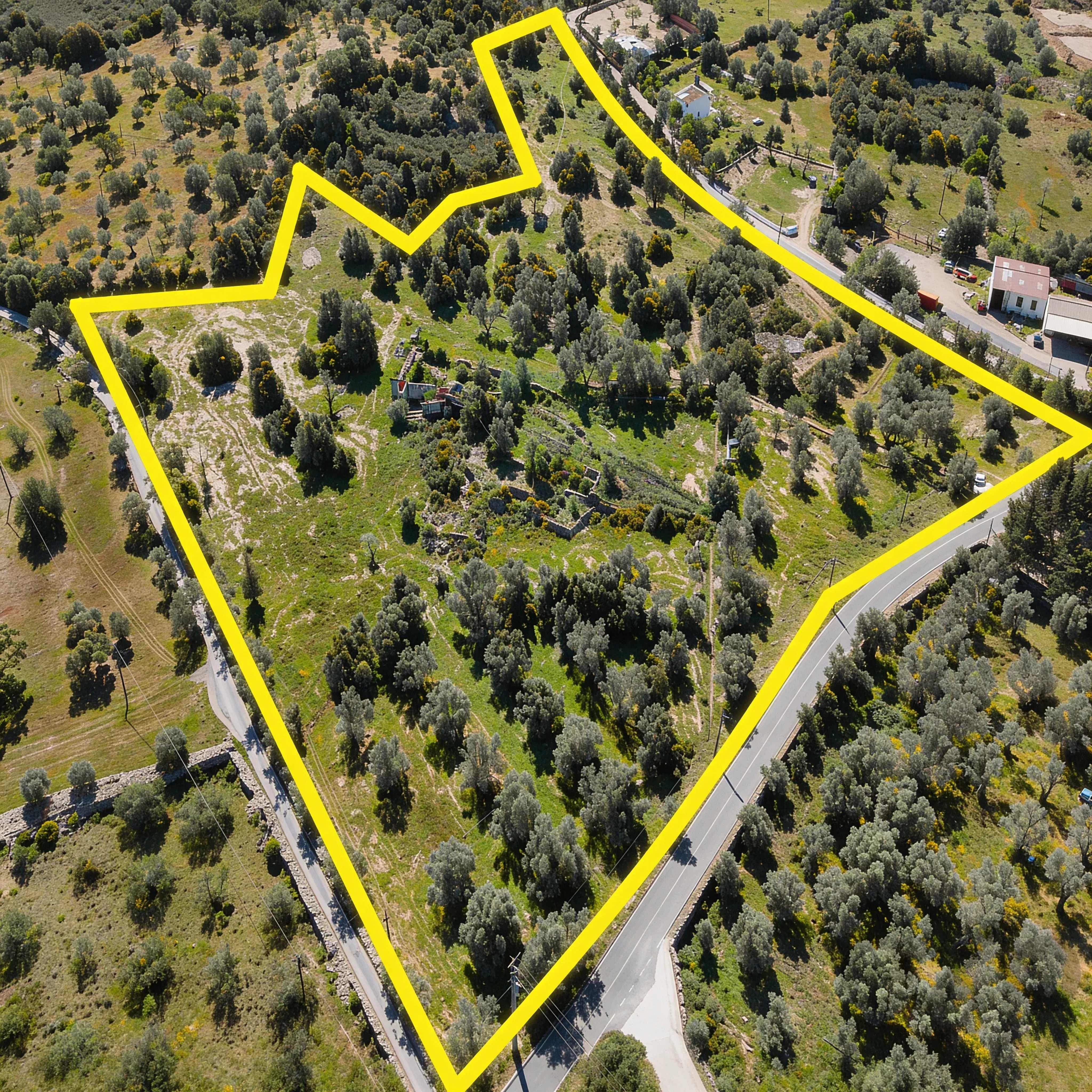 Ruins with Approved Project | 750m² of Construction | 39,960m² of Land | Santa Bárbara de Nexe 86965238 image 1