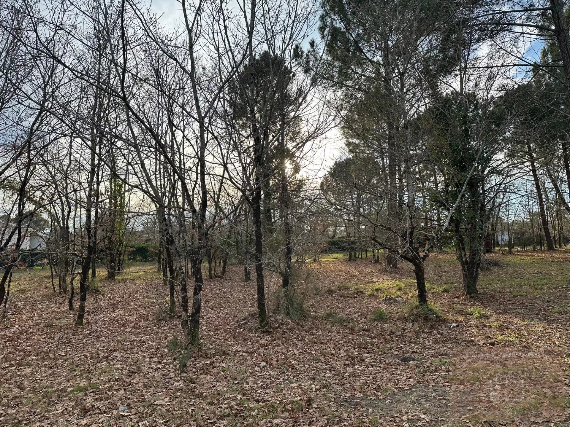 Agence immobilière de Deligey Immo Conseil