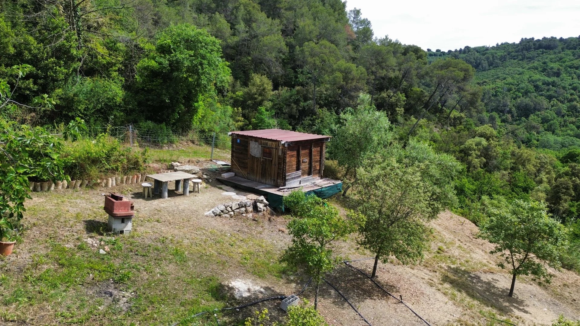 VENCE : TERRAIN AVEC CHENES TRUFFIERS - Photo 4