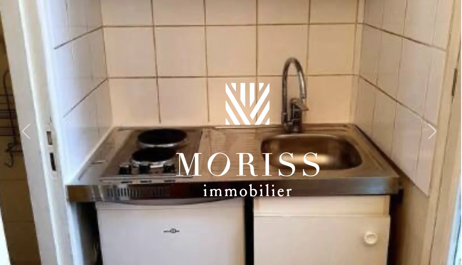 LA CAMPAGNE A PARIS - Image Array