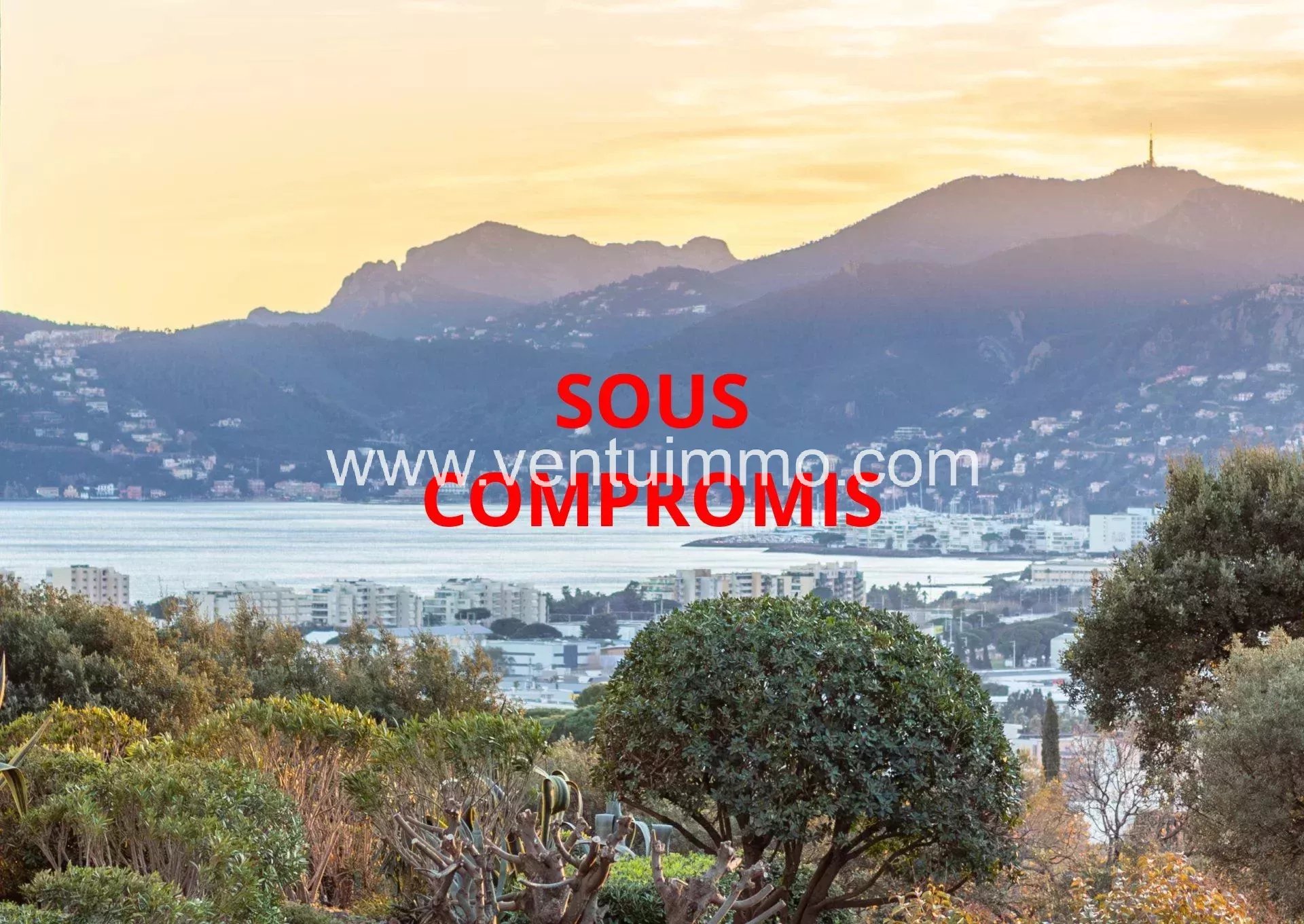 Agence immobilière de 