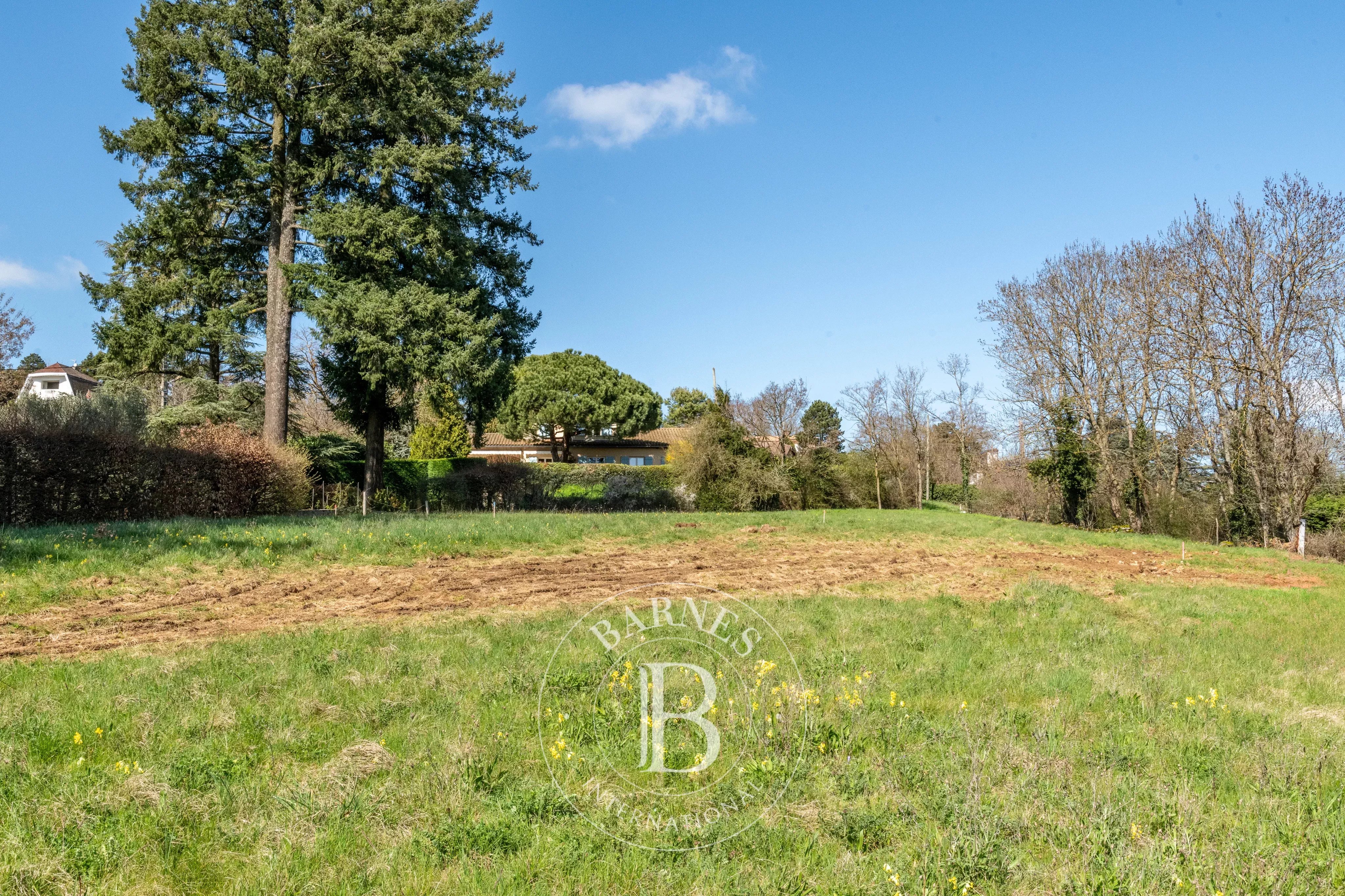 Terrain constructible Saint-Didier-au-Mont-d'Or  -  ref 86439038 (picture 3)