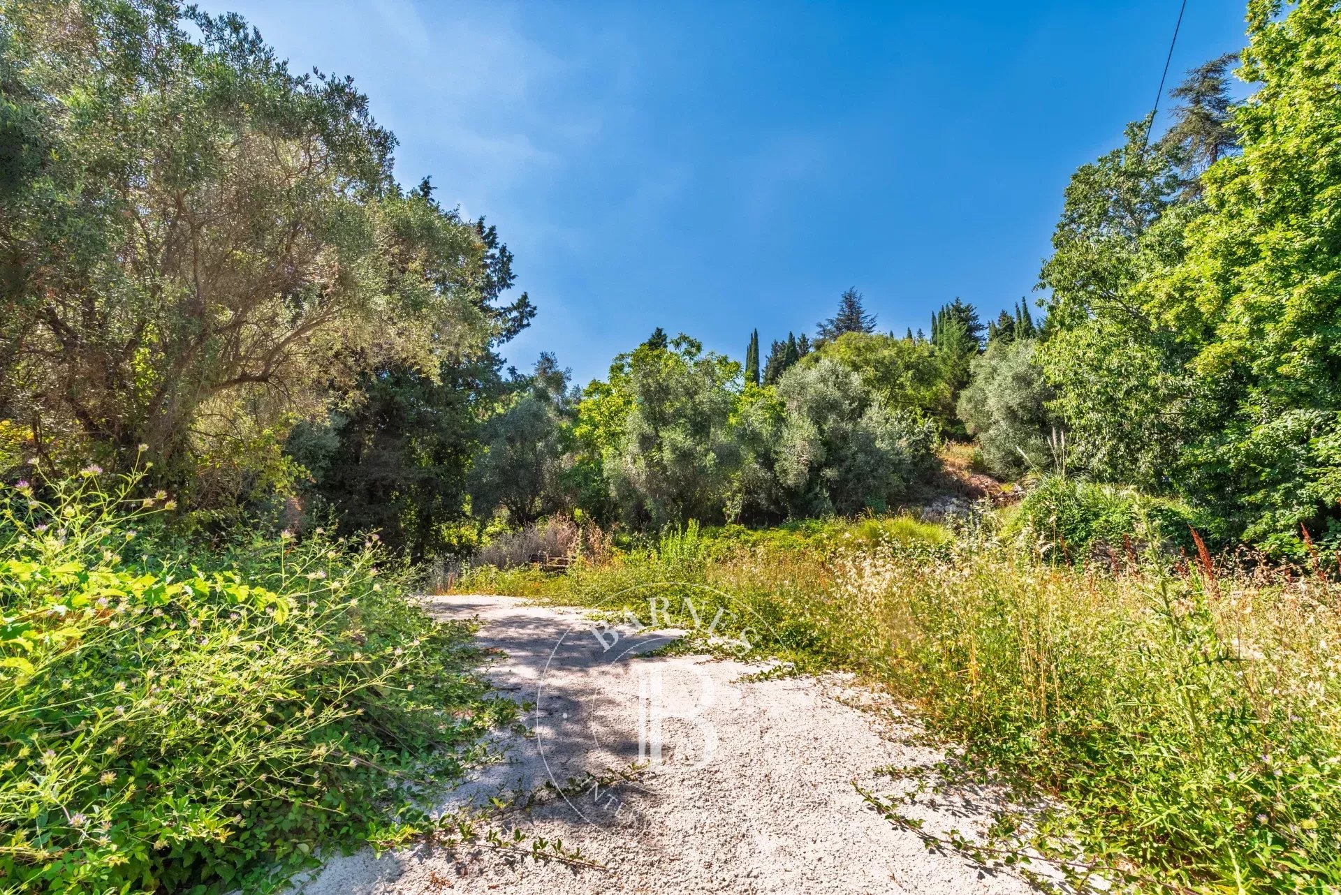 Grasse  - Terrain  - picture 11