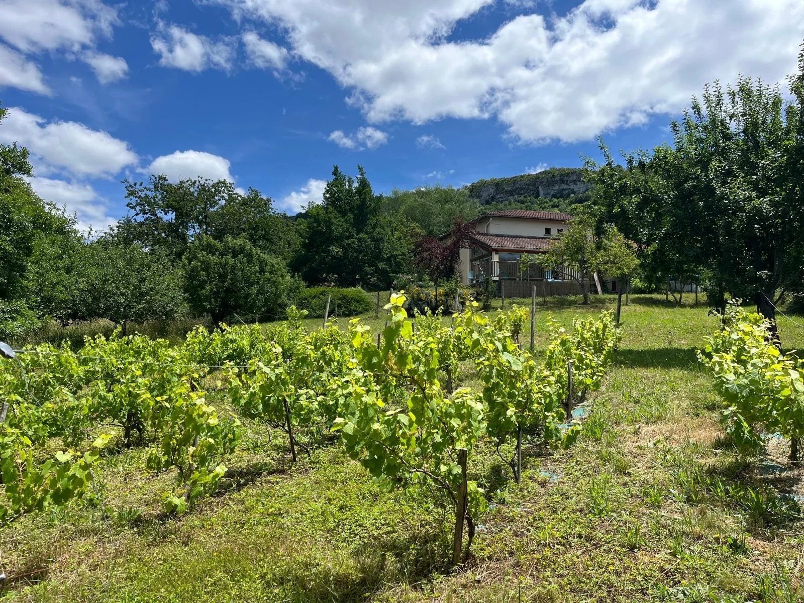 Maison Spacieuse avec vue ( Mas-d'Azil) et son appartement T2 en plus