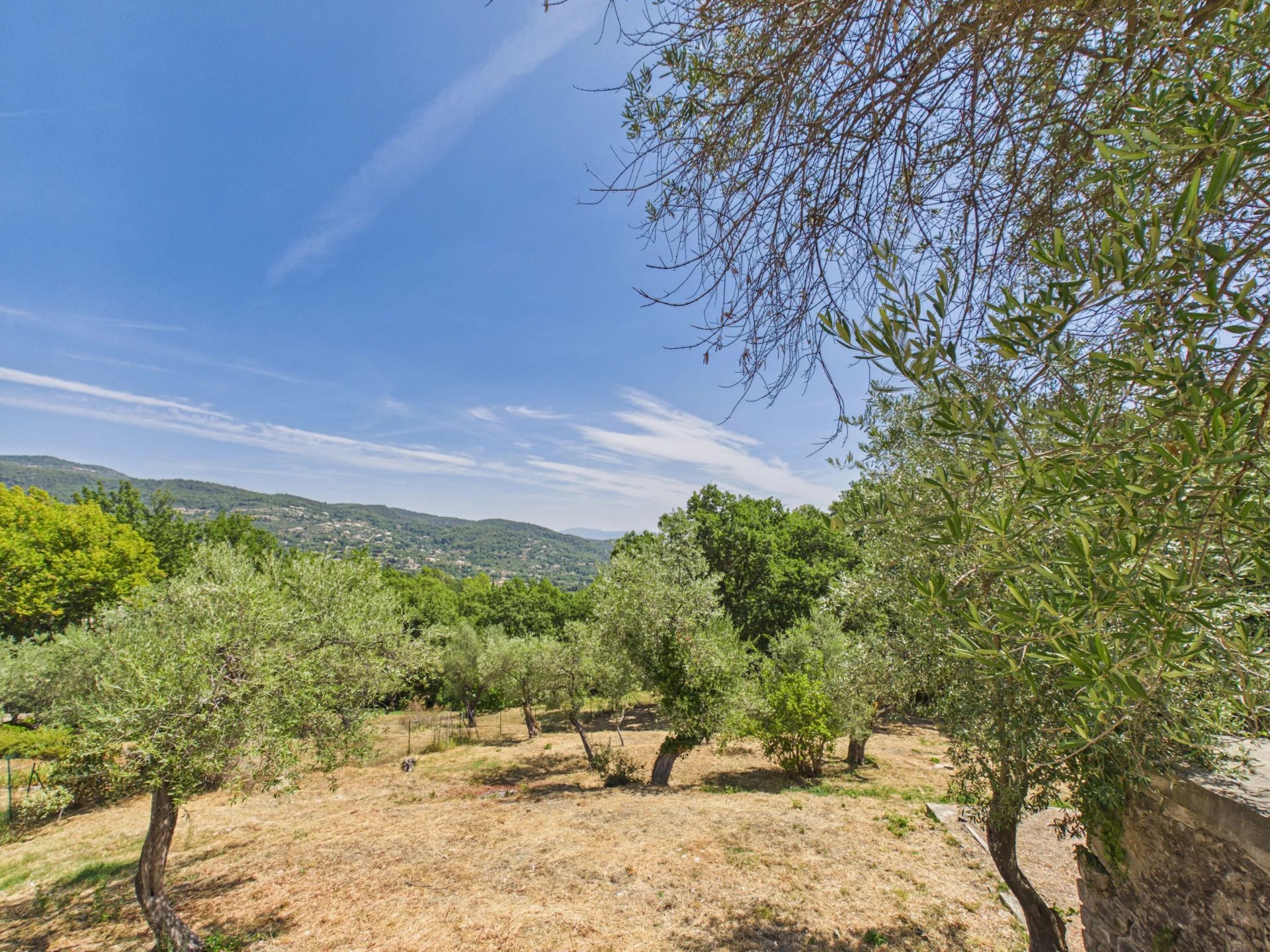 House with a view walking distance to the village - Seillans