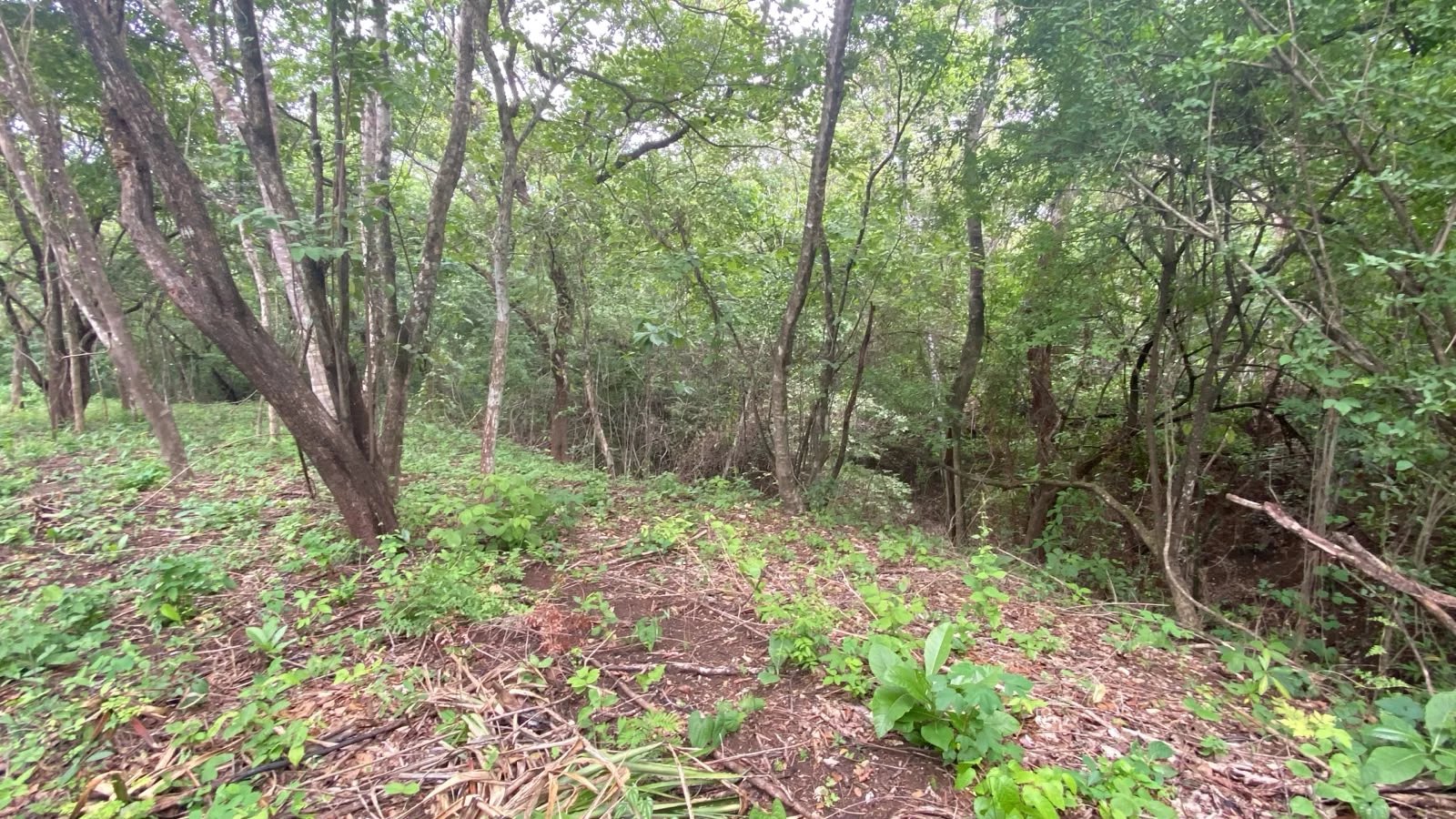Sale Building land Cartagena
