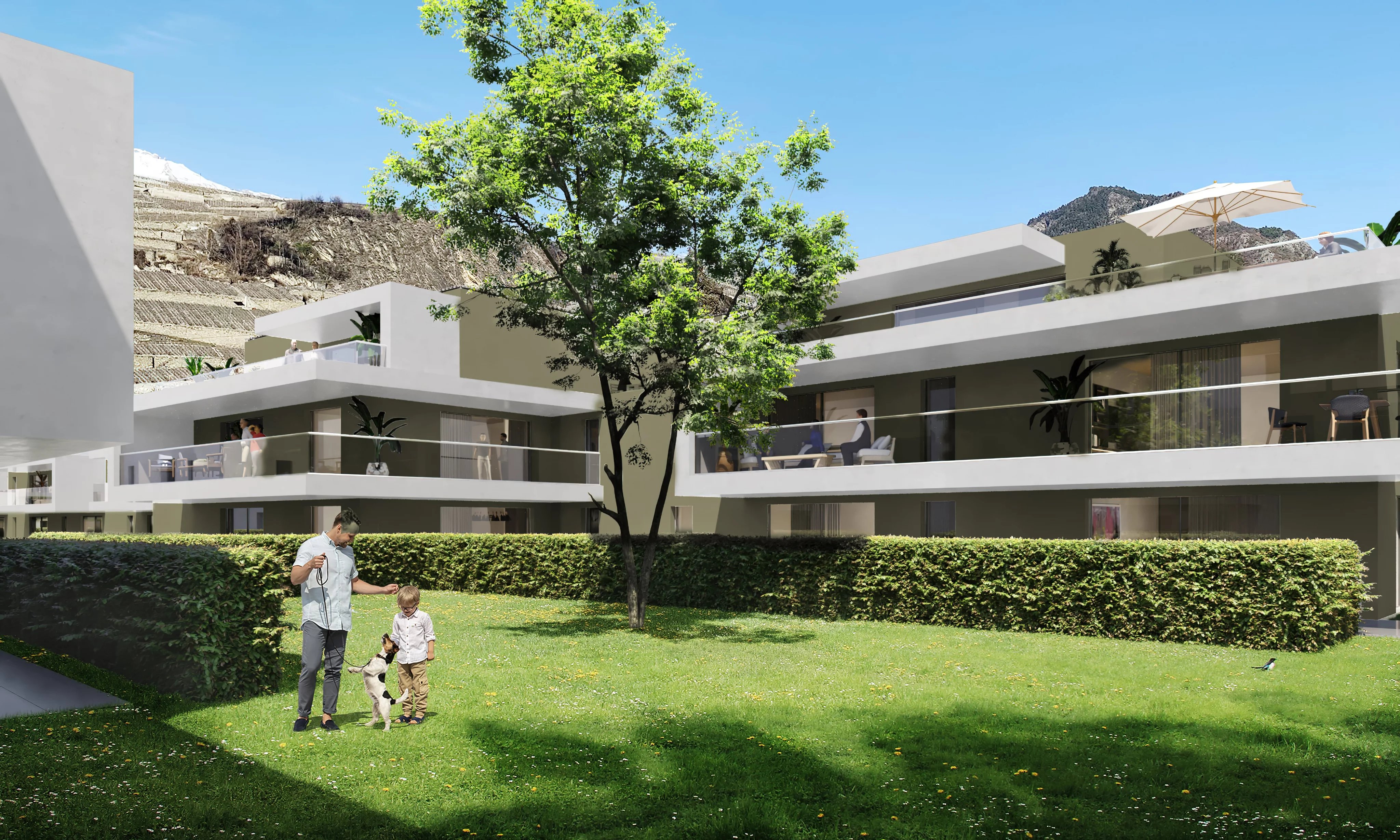 Studios neufs a vendre - Livraison dès juin 2026