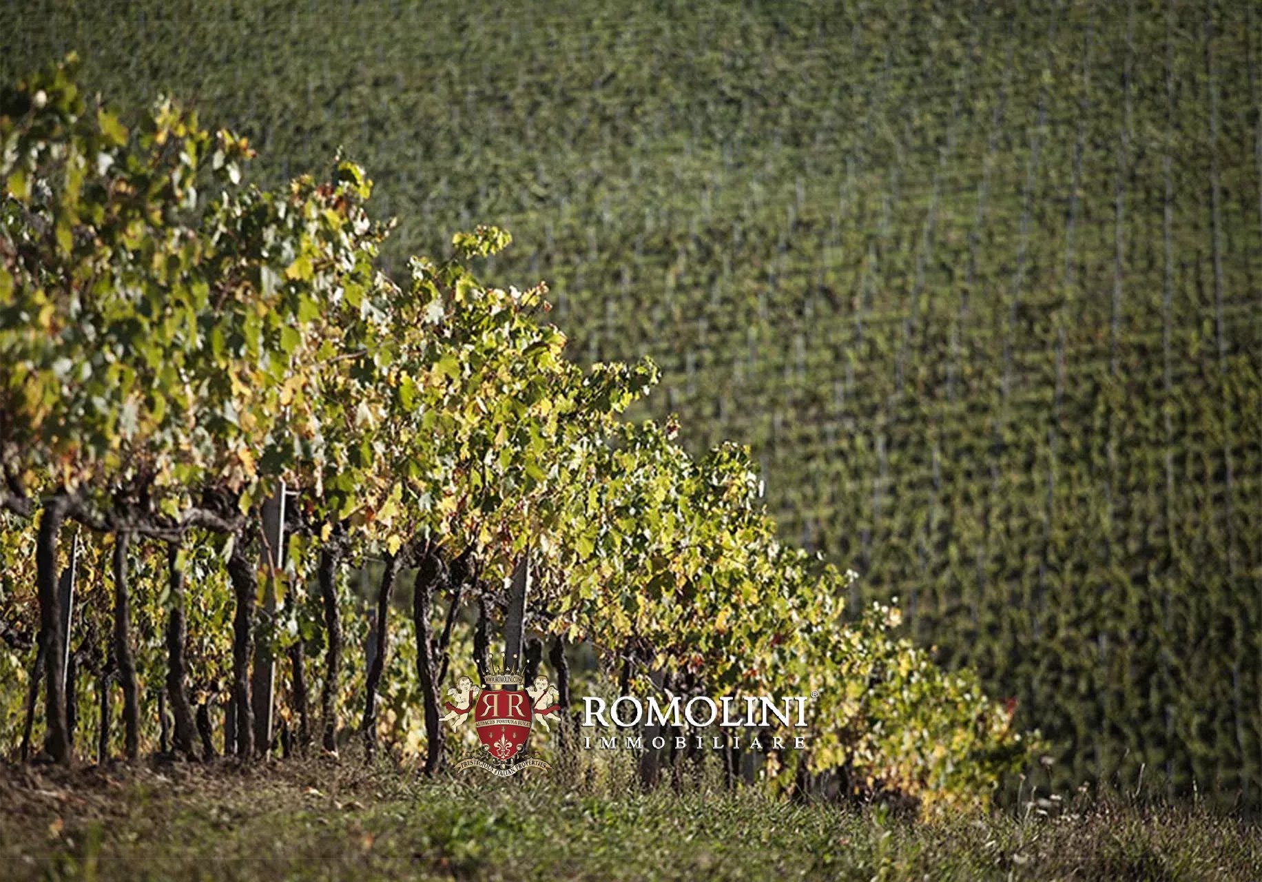 7 Bedroom Vineyard's Image 8