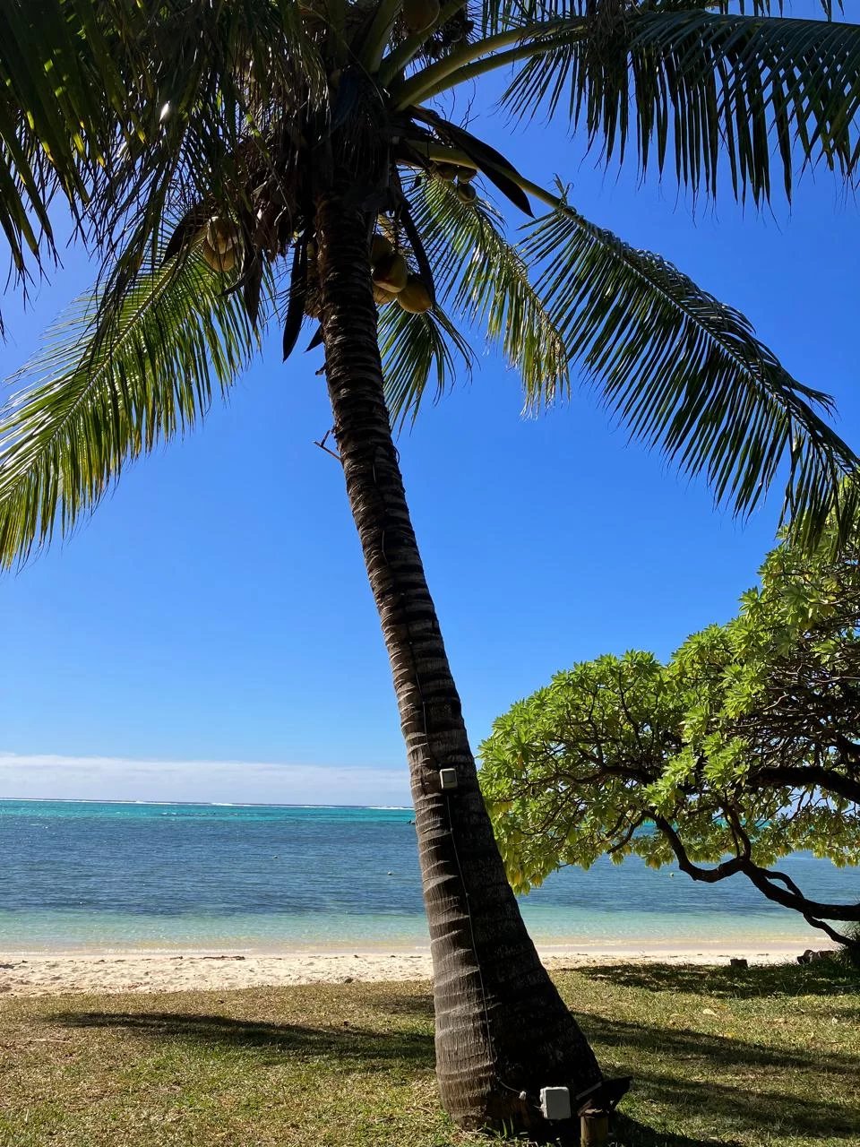 Daire Roches Noires - picture 7