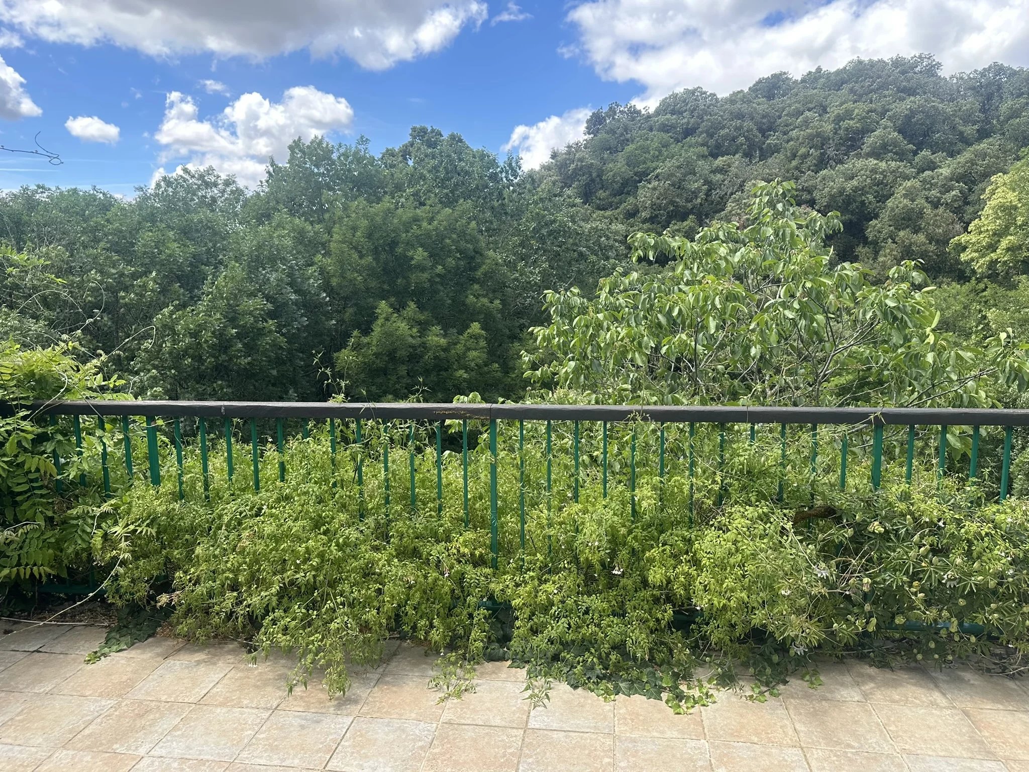 Fermette à vendre Brousses-et-Villaret, Aude