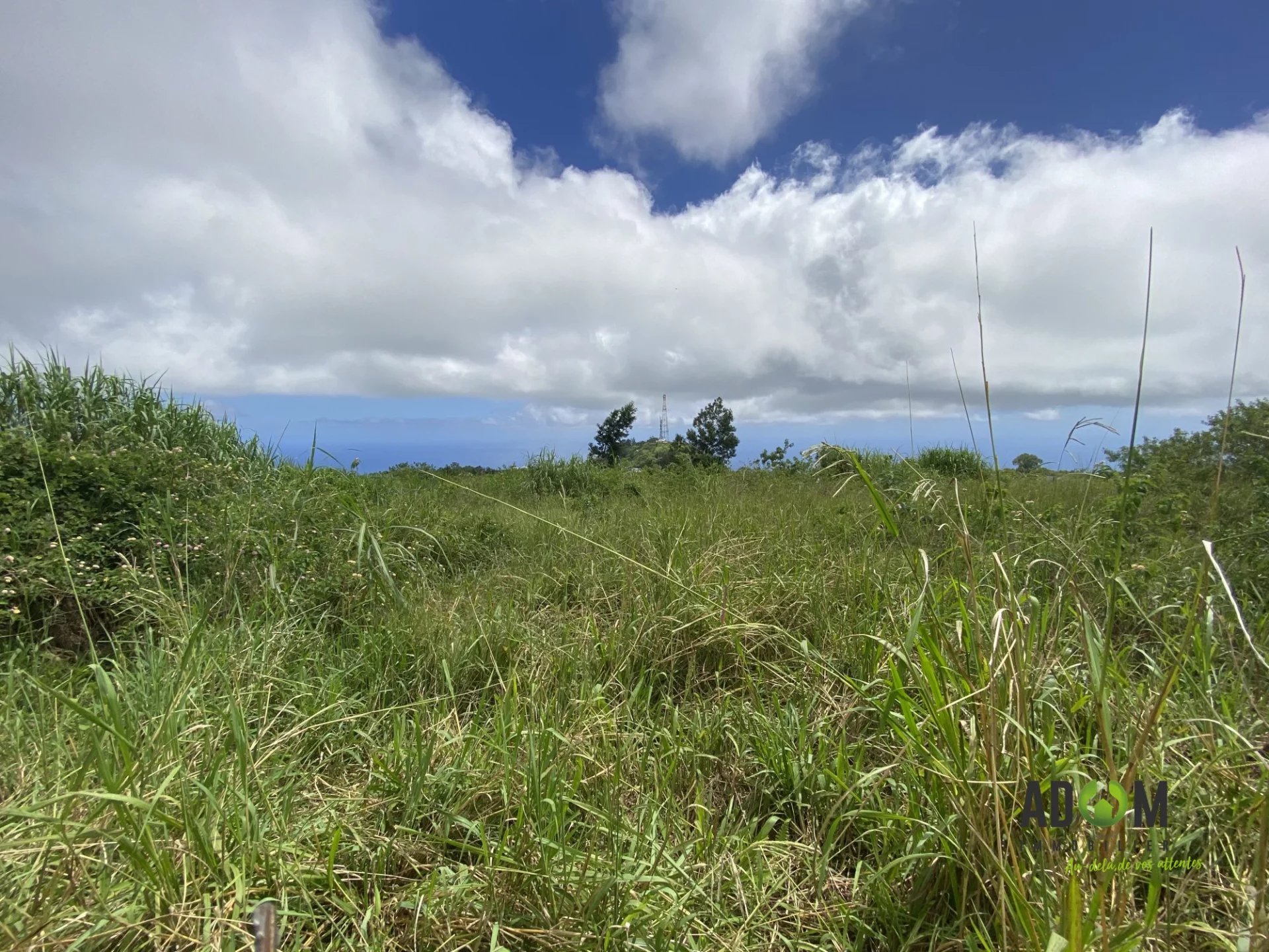 Vente Terrain constructible Saint-Leu