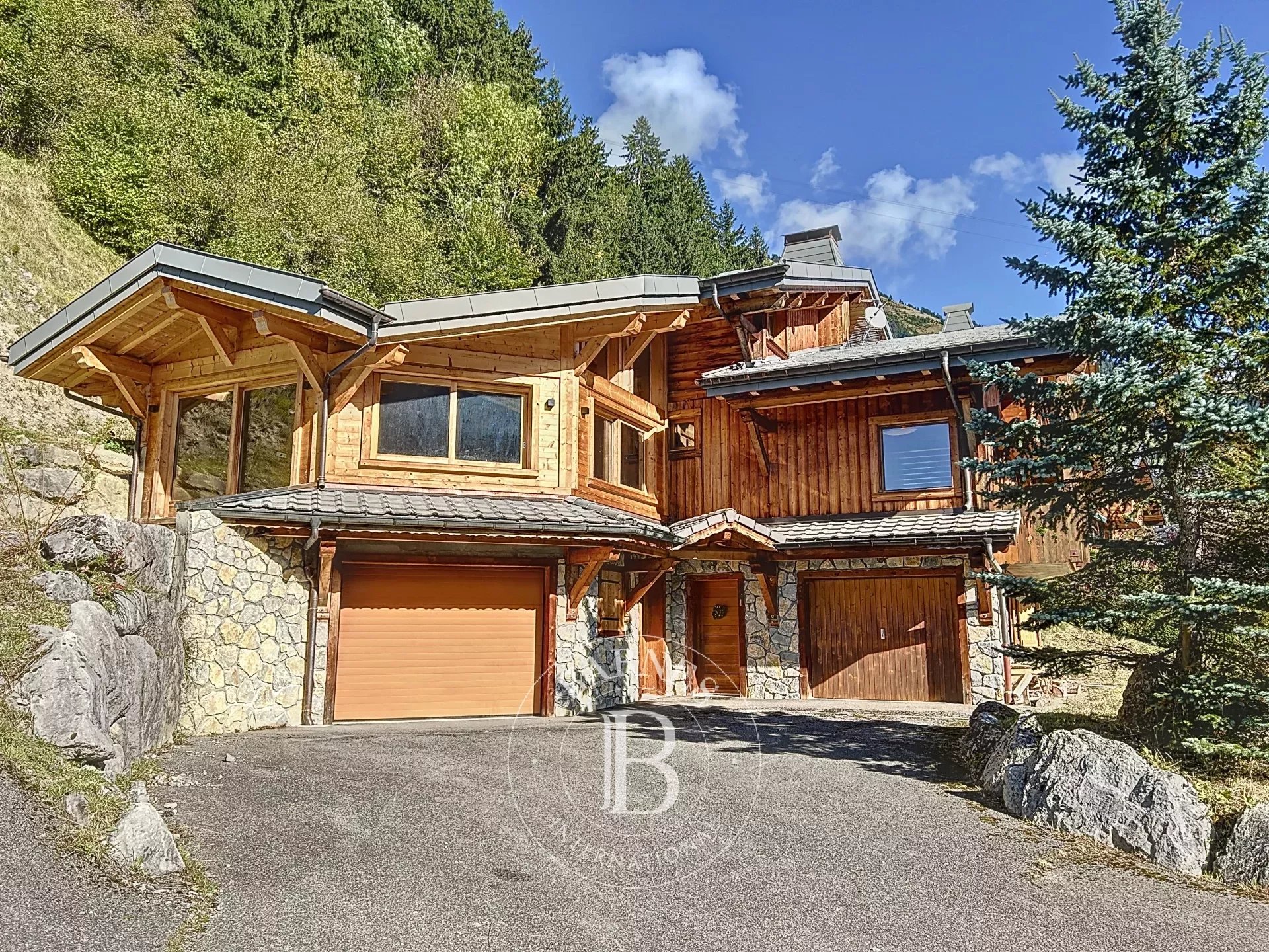 Photo of Châtel - Chalet of 260 sq m (220 sq m living space) - 4234 sq m of land - Near village center in a sought-after area with magnificent South-West exposure