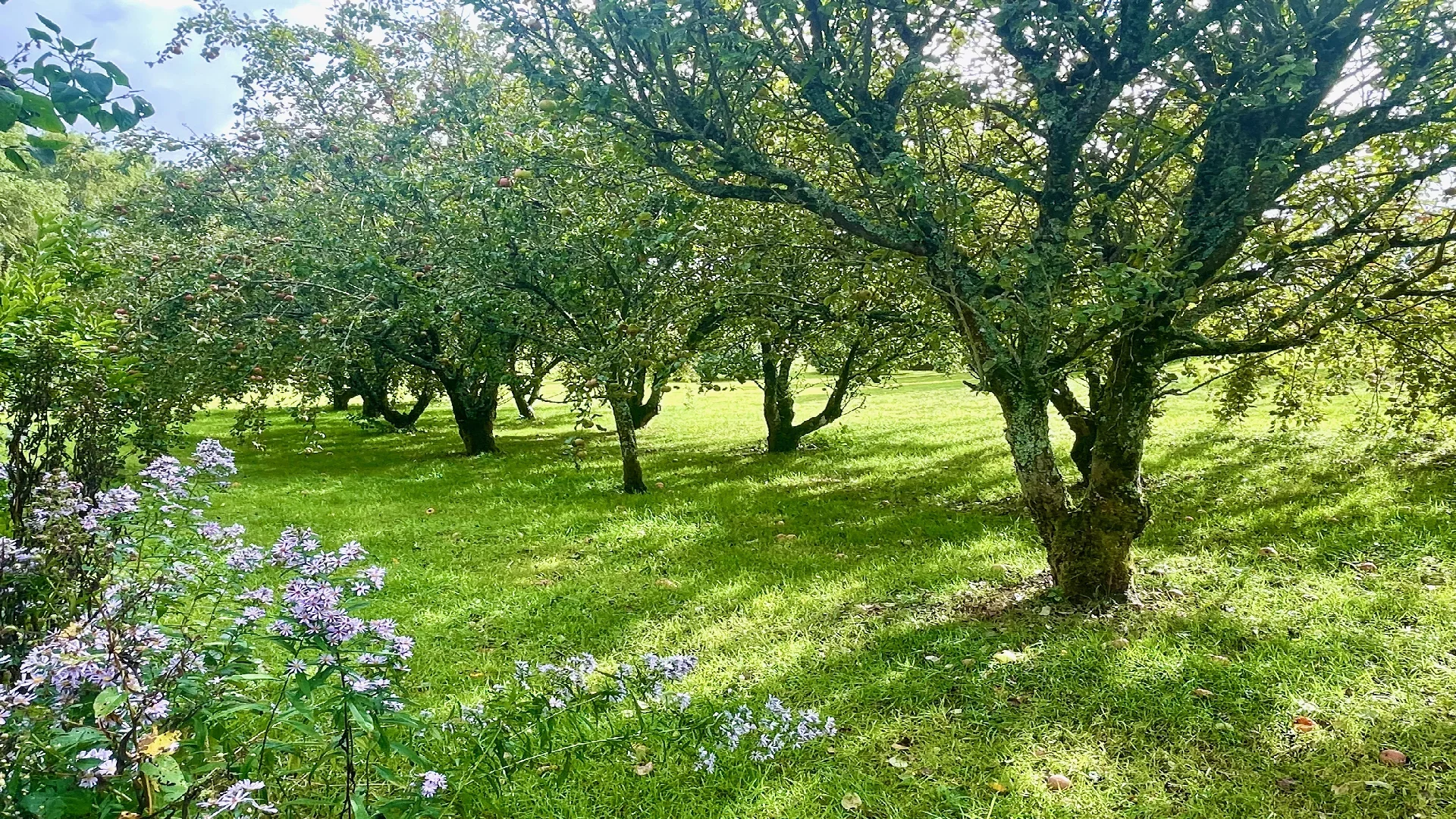 Morlaix - FINISTÈRE