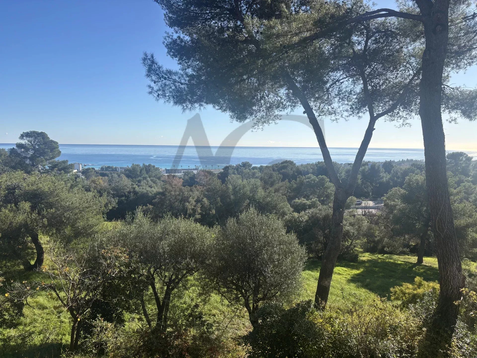 Agence immobilière de Agence centrale