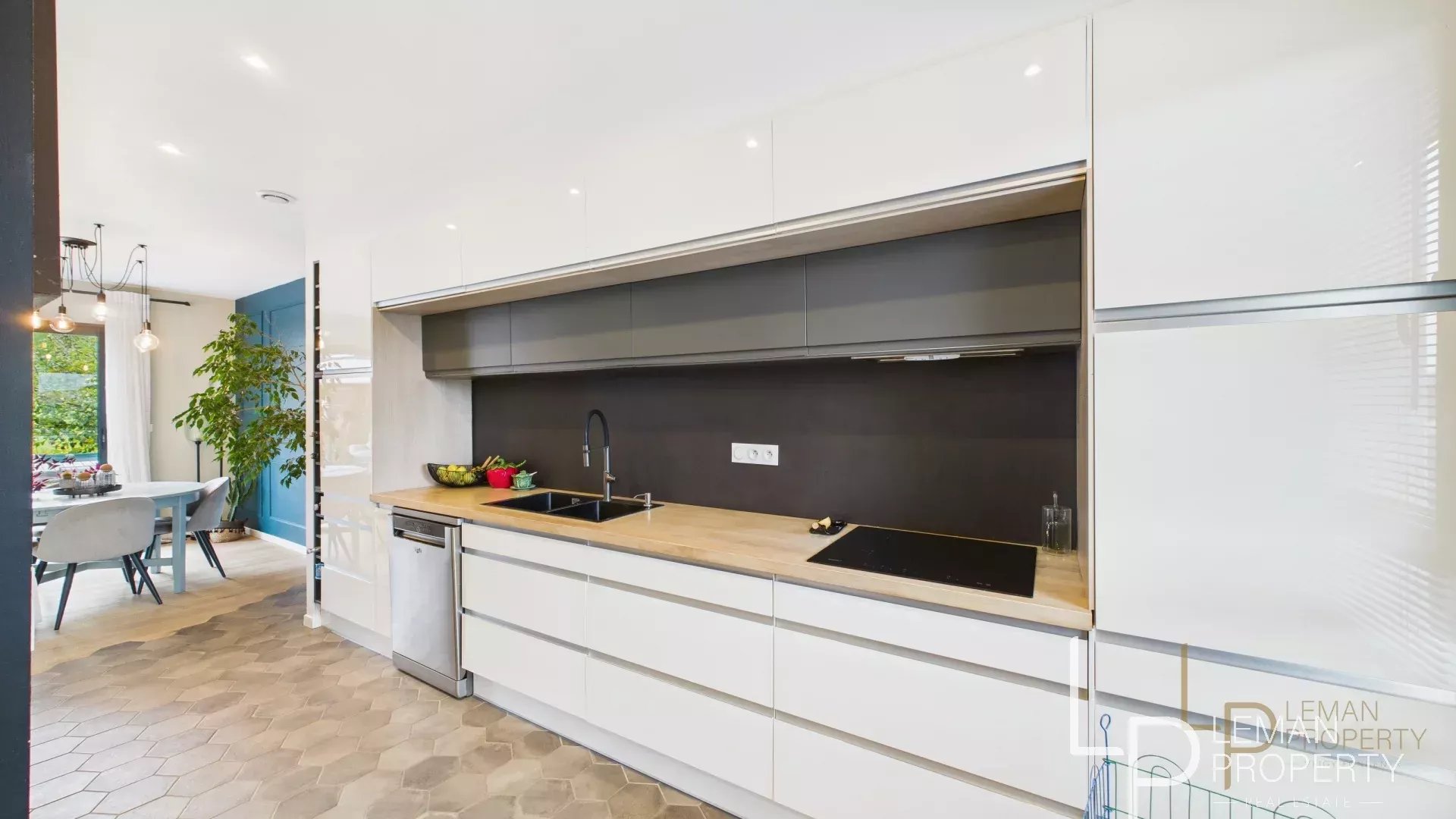 maison en vente sur www.leman-property.com