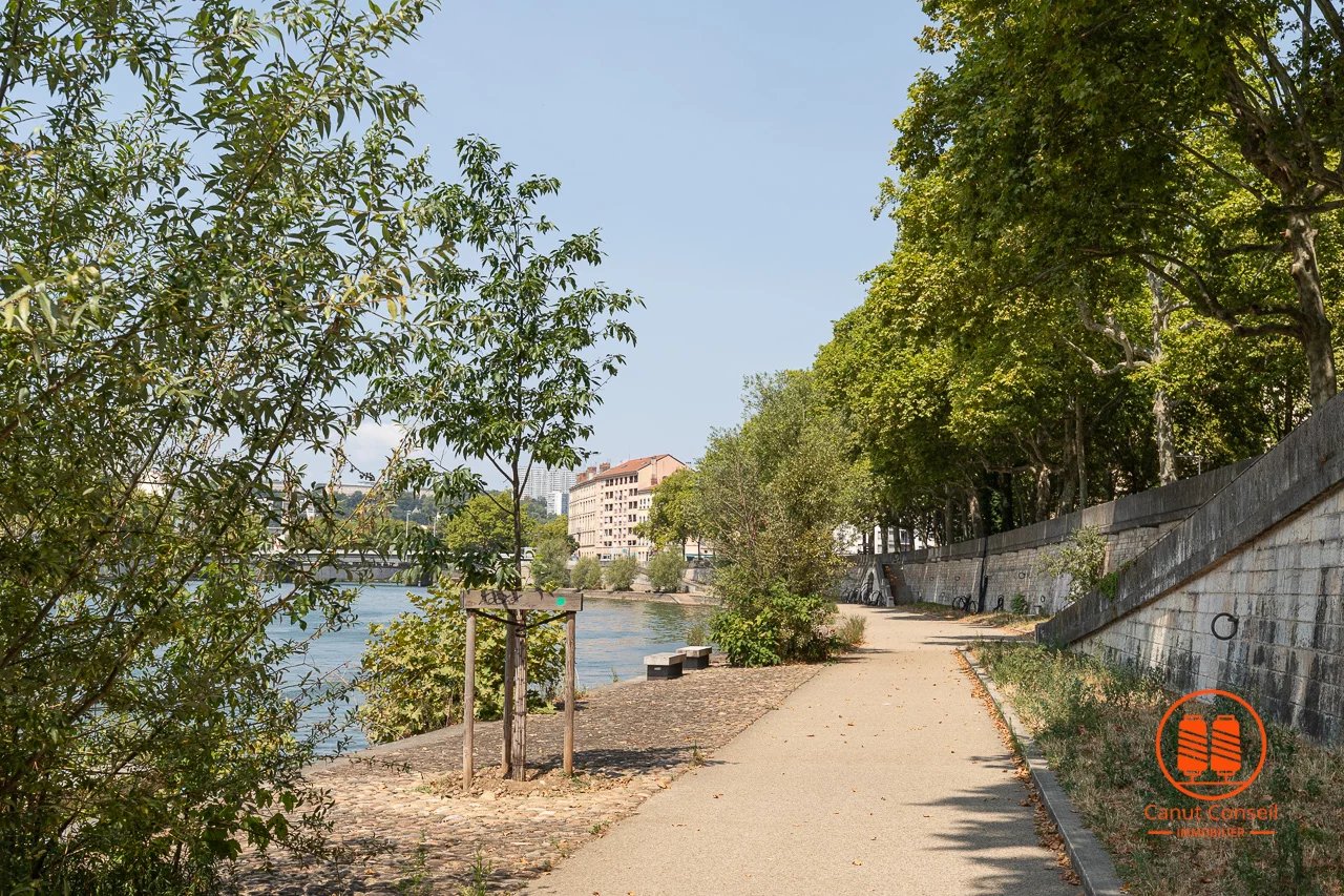 Vente Appartement Lyon 1er