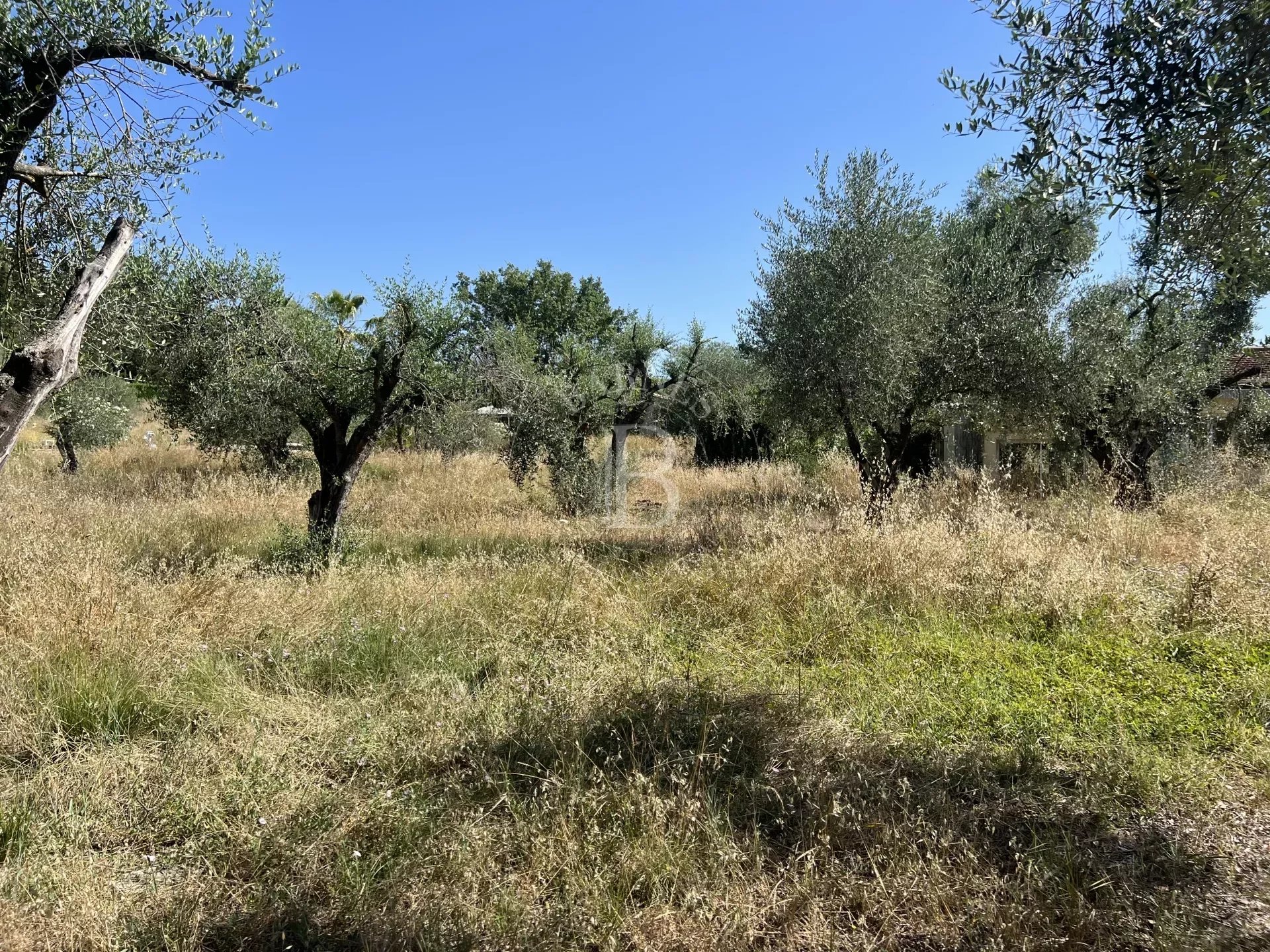 Walking distance to village - Beautiful building plot with olive trees
