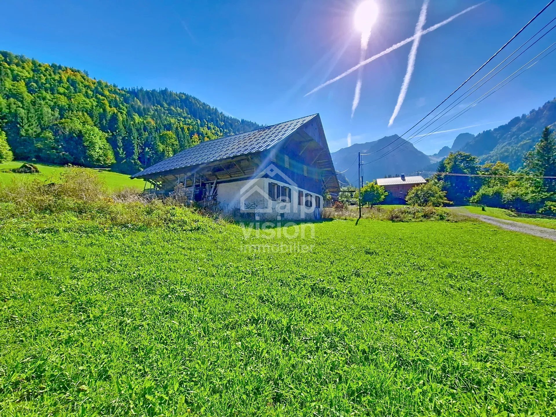 Vente Ferme Abondance