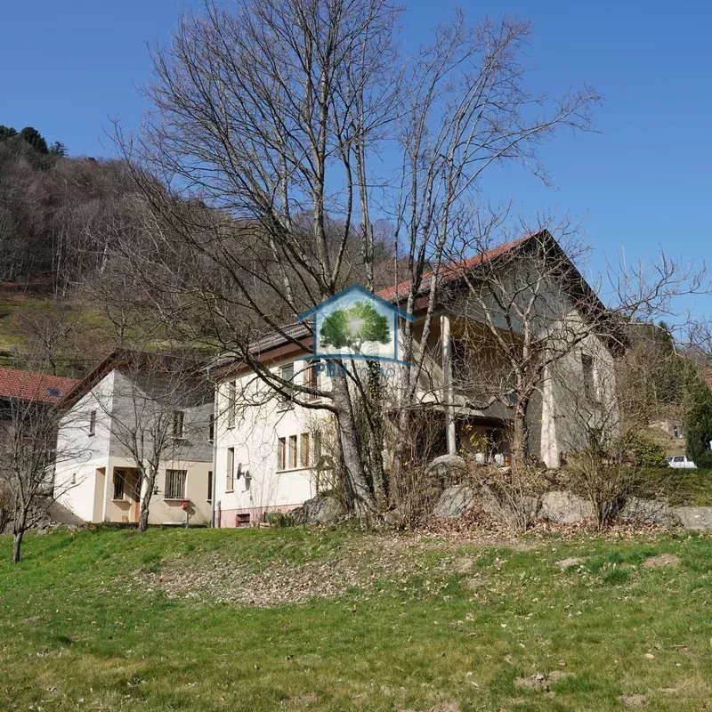 Vente Propriété Linthal