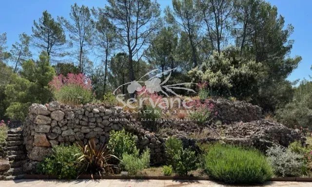CHARMING HOUSE MONTFORT SUR ARGENS T3