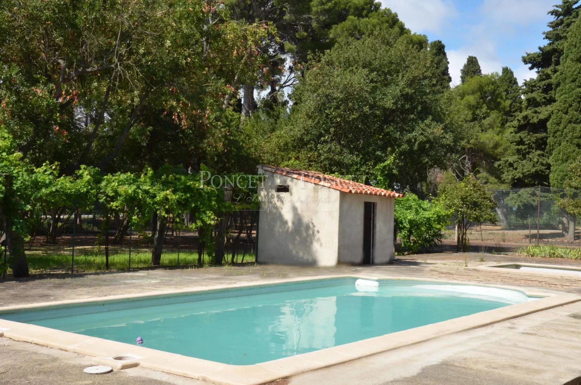 7 Bedroom Villa/Townhouse's Image 3