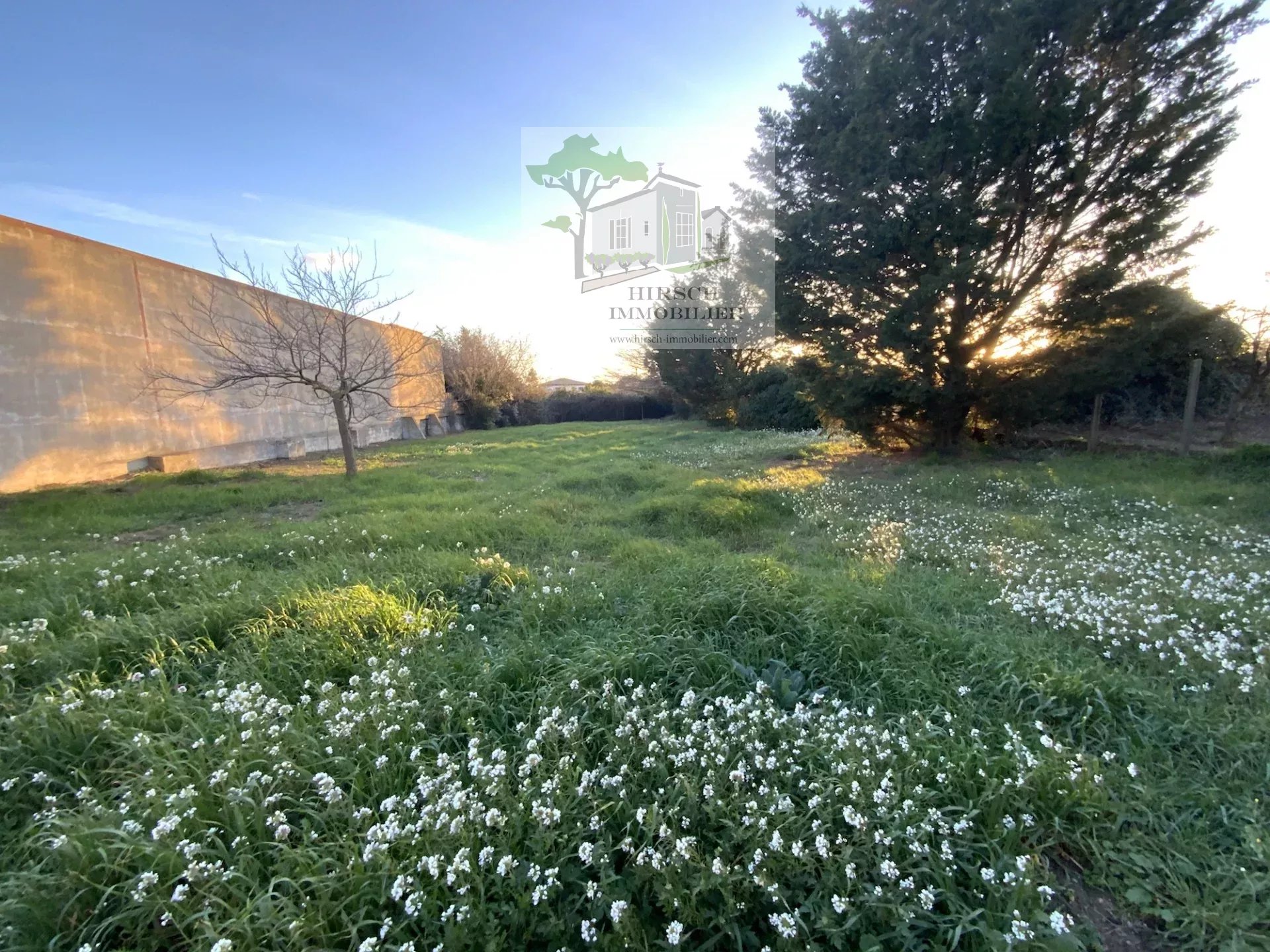 Ventenac-en-Minervois 11120 – Vente Terrain