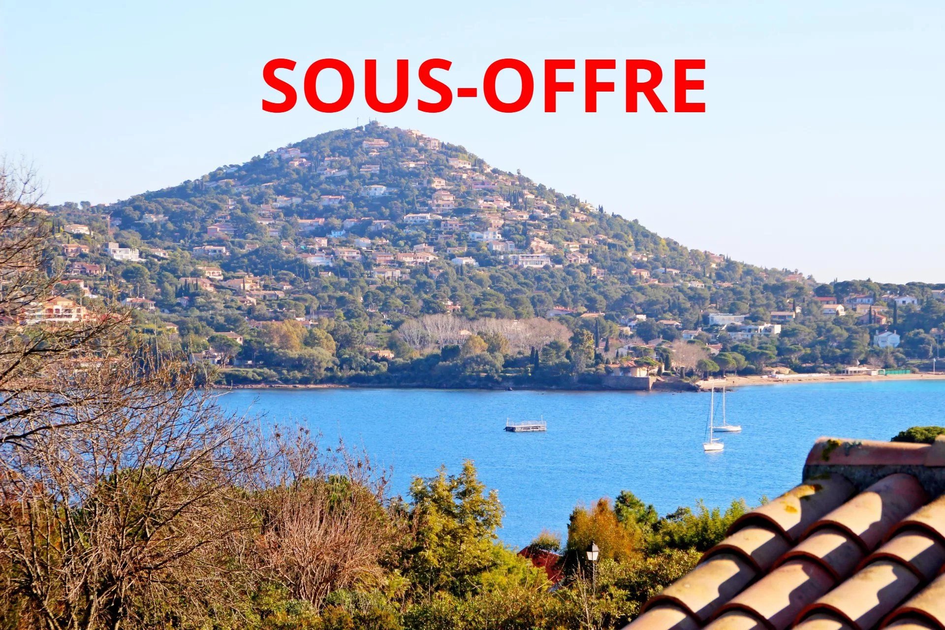 Agence immobilière de Azzurra Immobilier