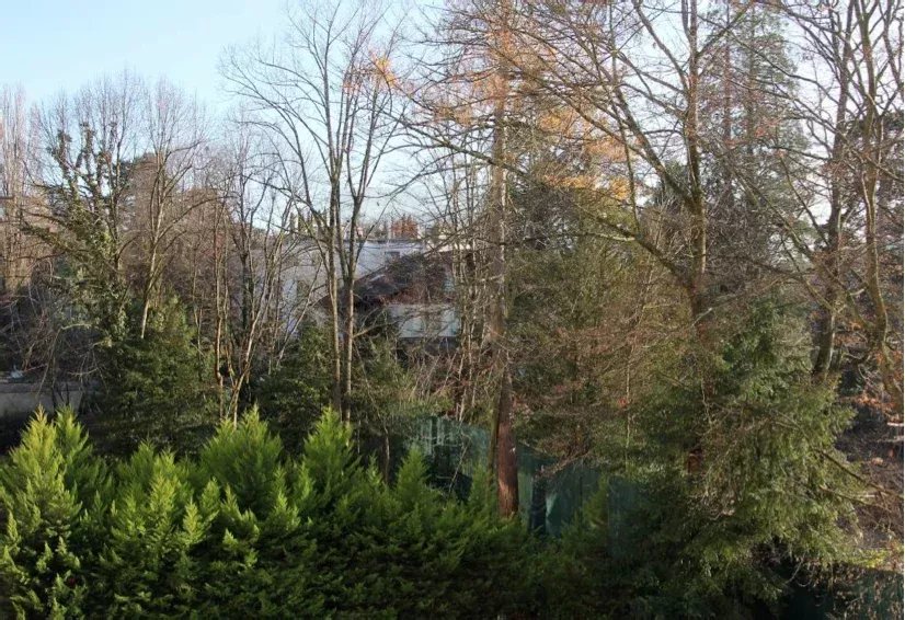 Superbe appartement à Malagnou — photo 5