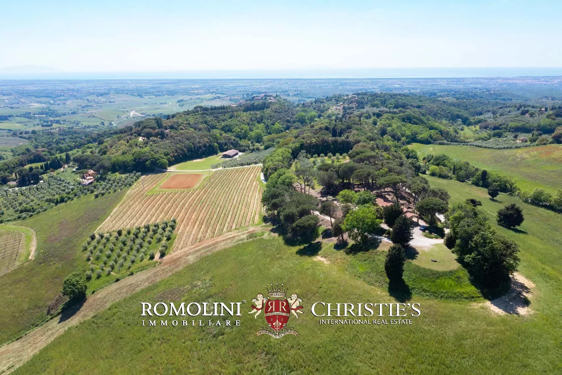 EQUESTRIAN SEA VIEW WINE ESTATE WITH VINEYARDS FOR SALE CLOSE TO BOLGHERI, TUSCANY